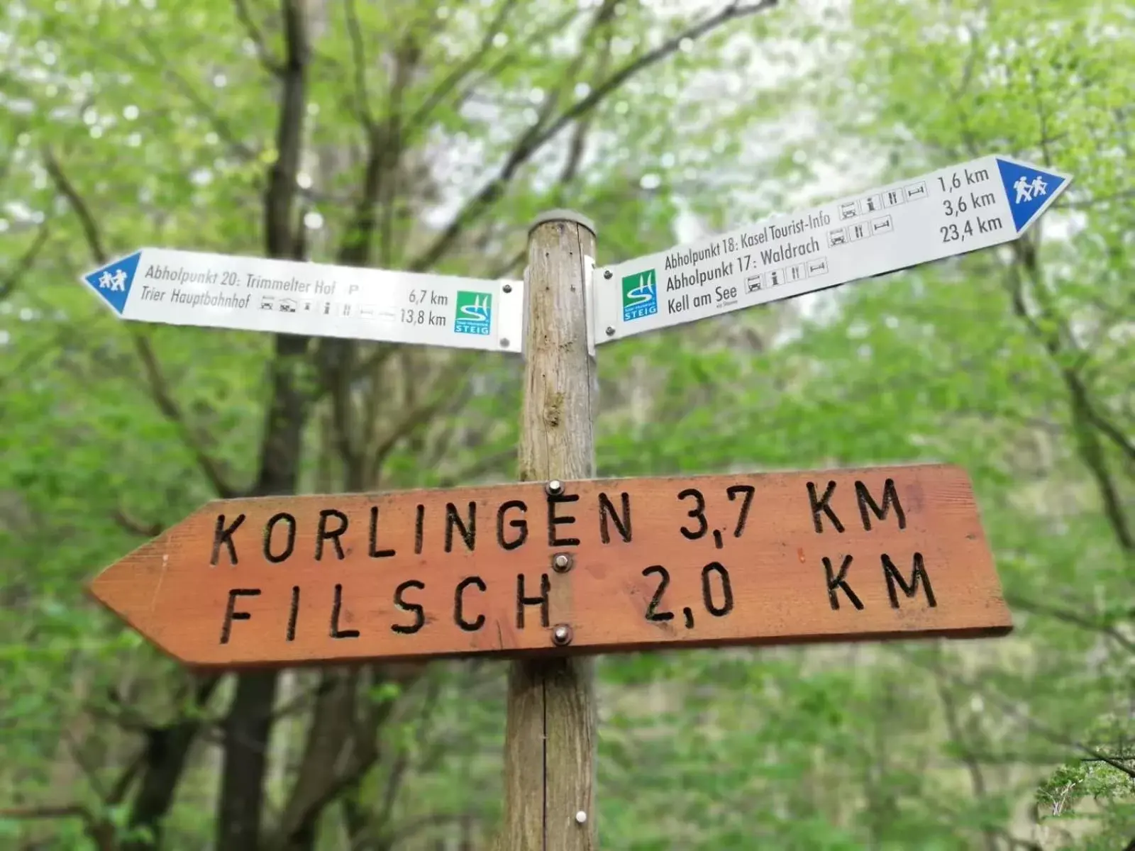 Hiking, Logo/Certificate/Sign/Award in Blesius Garten