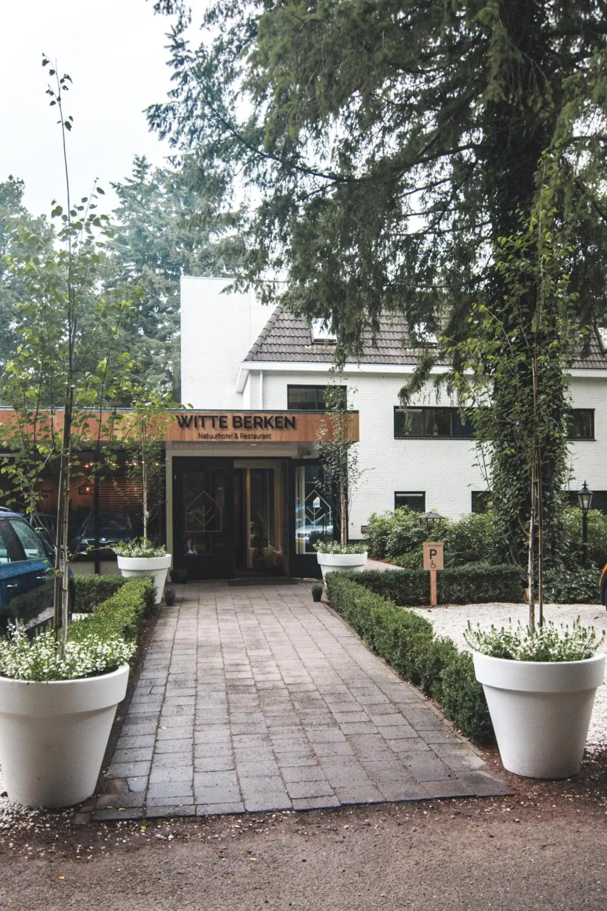 Property Building in Witte Berken Natuurhotel