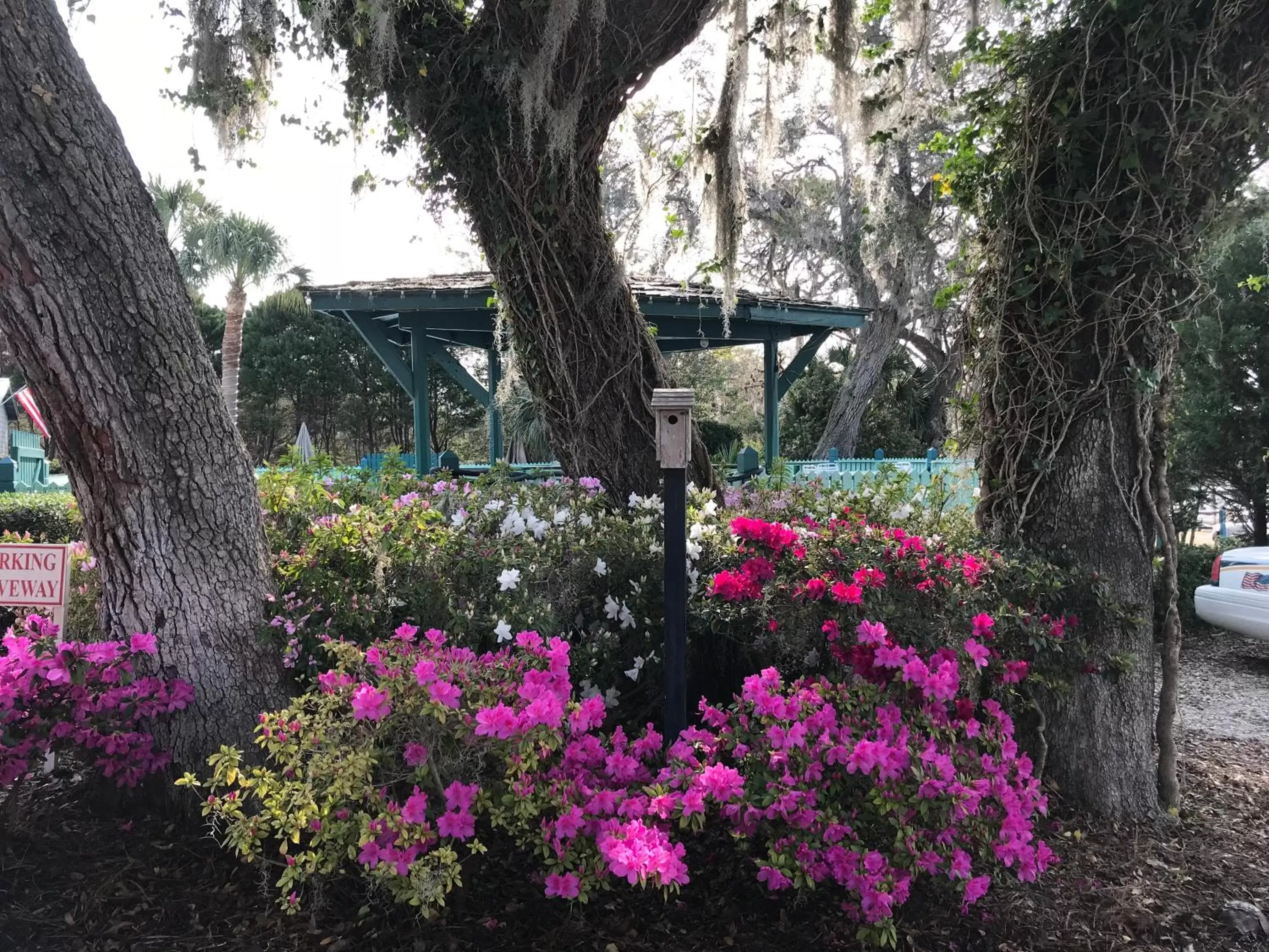 Natural landscape, Property Building in Steinhatchee River Inn and Marina