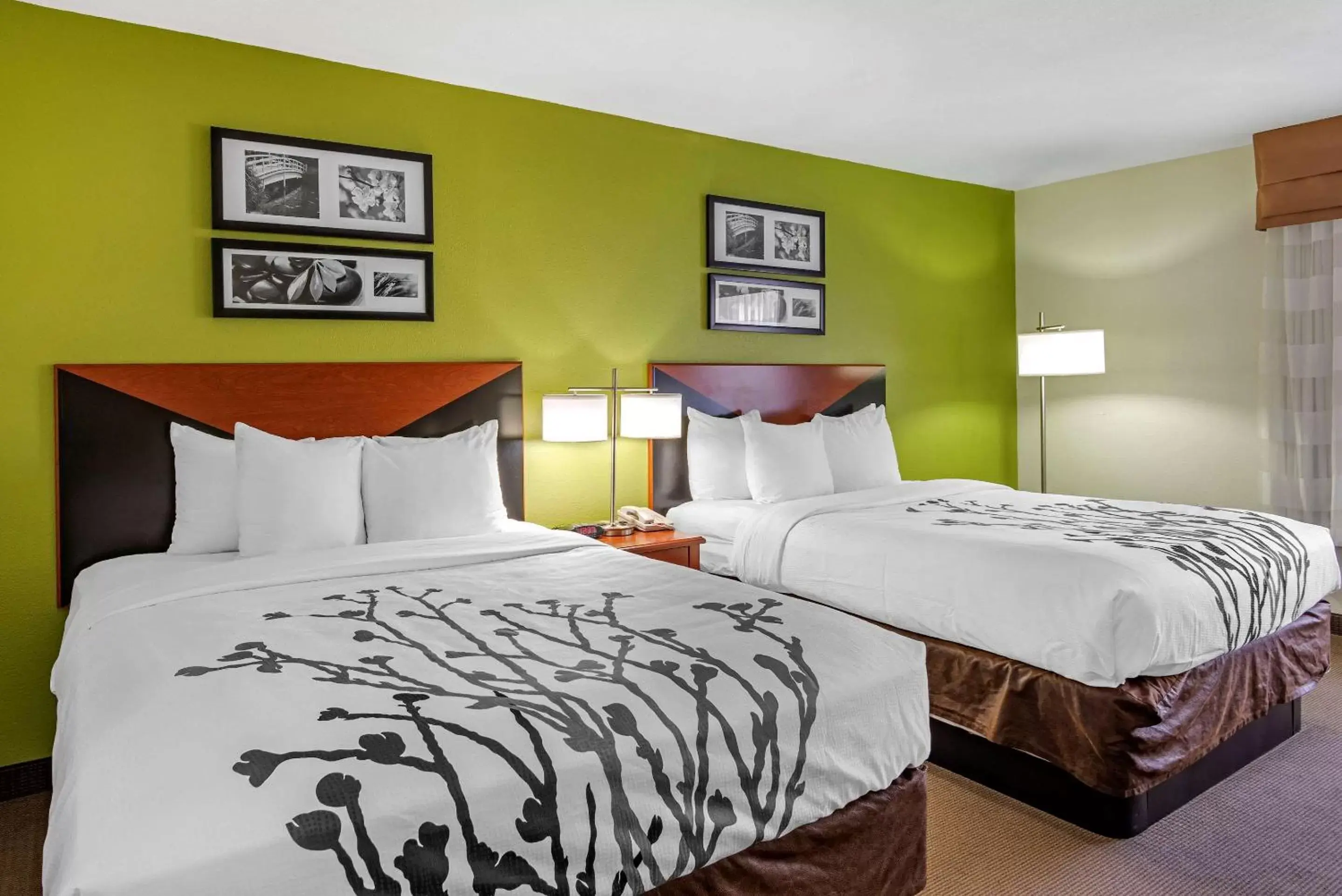 Photo of the whole room, Bed in Sleep Inn & Suites Stockbridge Atlanta South