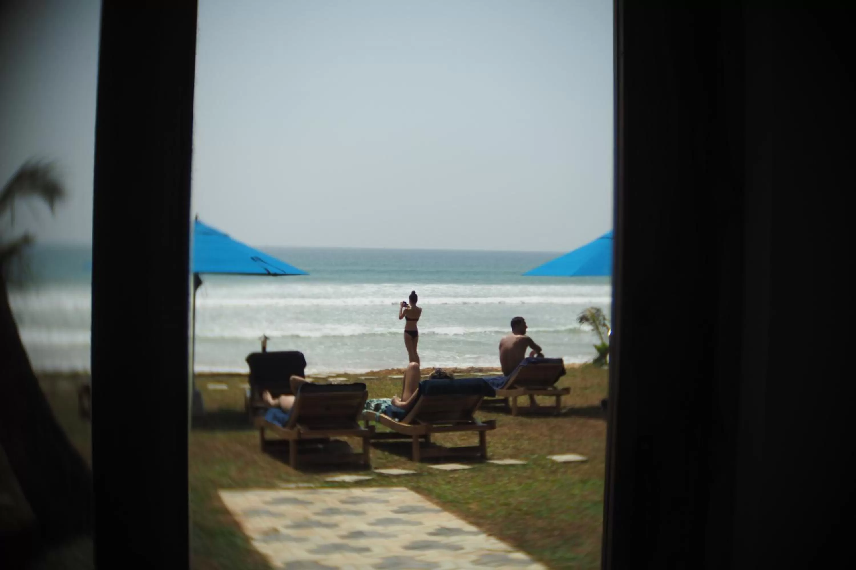 Garden view in The Seascape