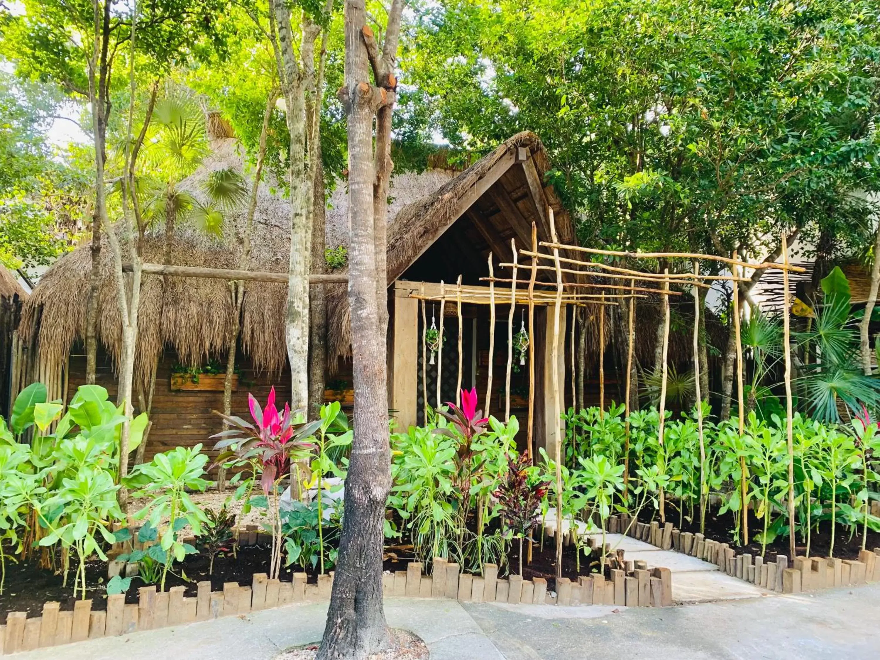 Facade/entrance in Orchid House Tulum