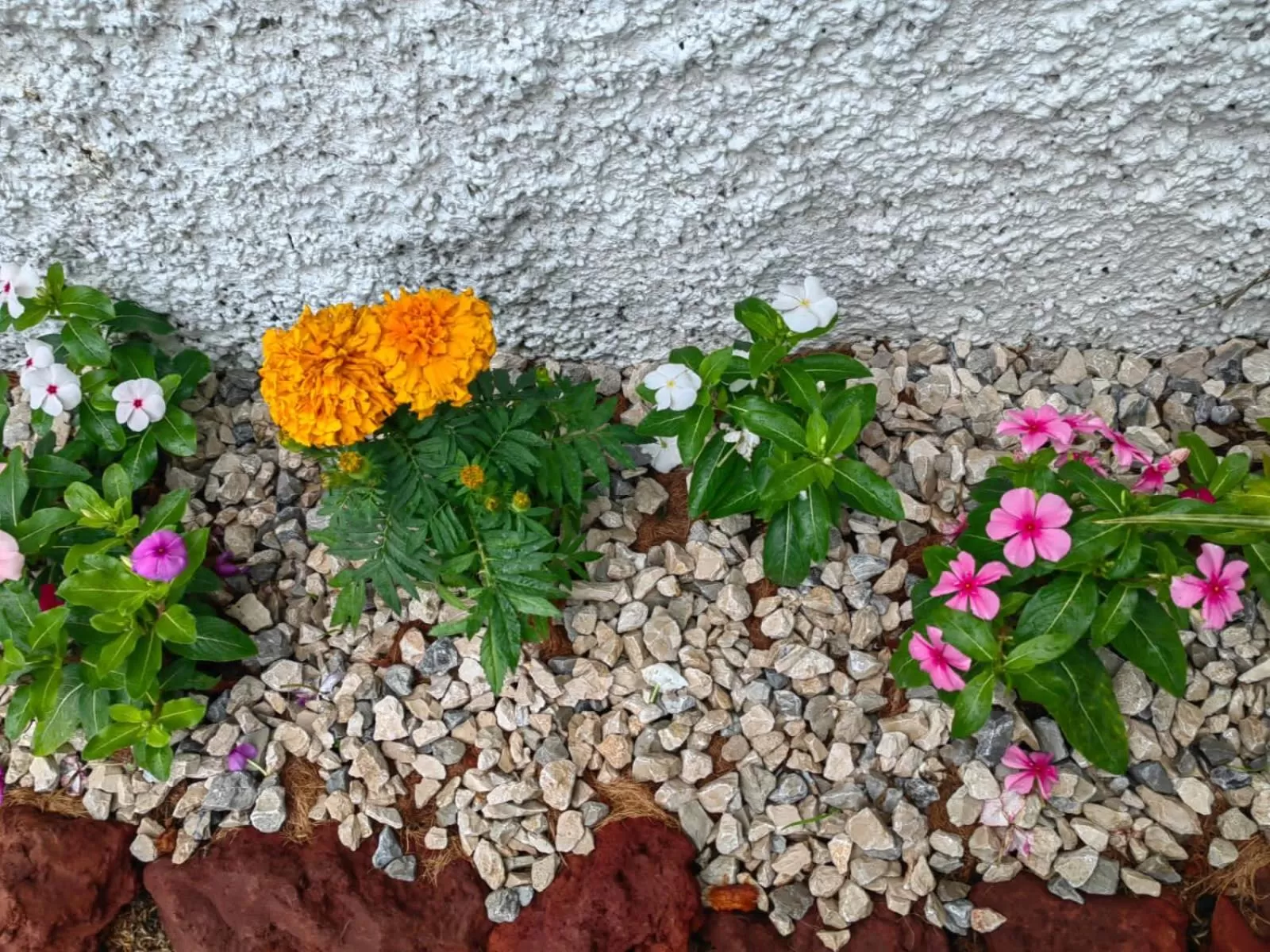 Property building in Hotel Casa Tago