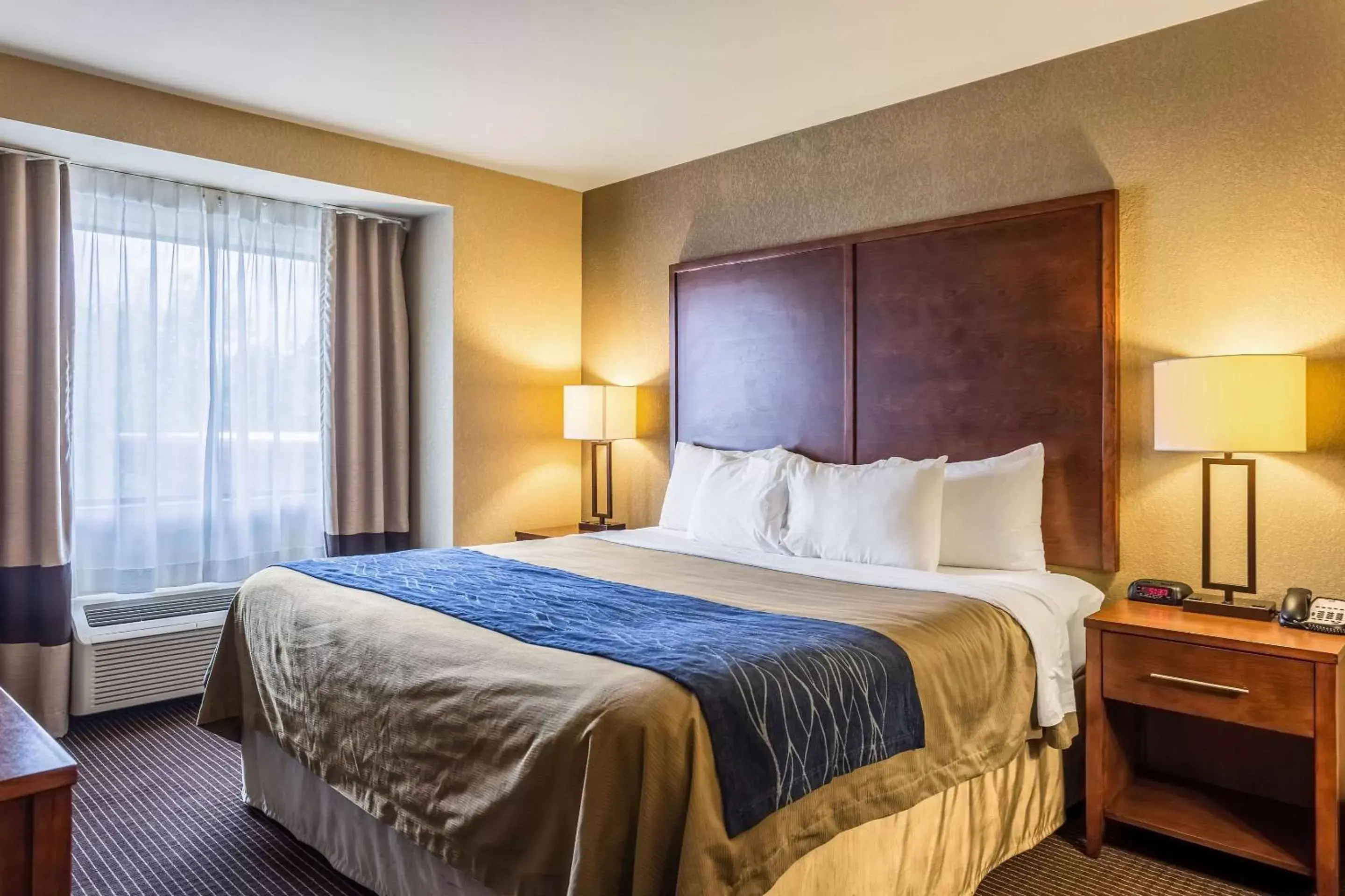 Photo of the whole room, Bed in Comfort Inn Tupelo