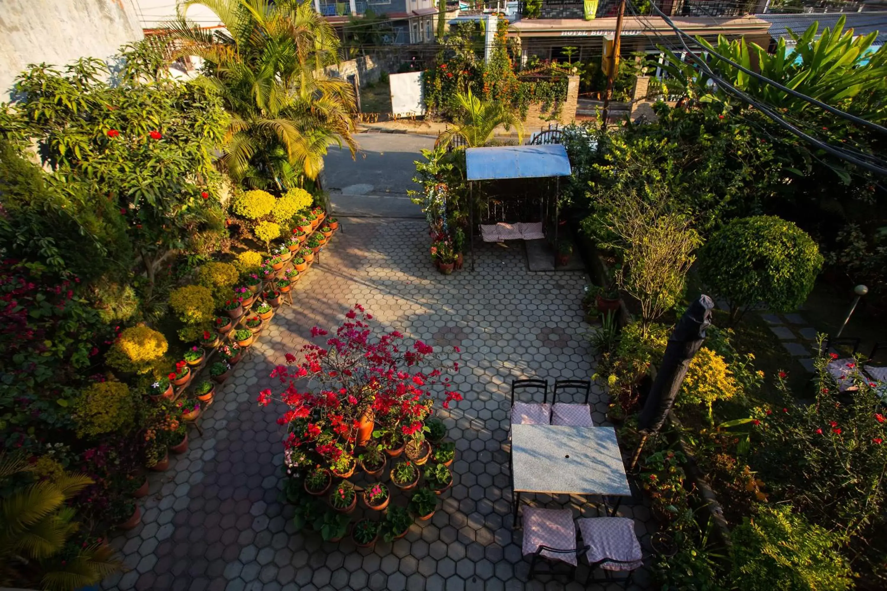 Patio in Hotel Orchid