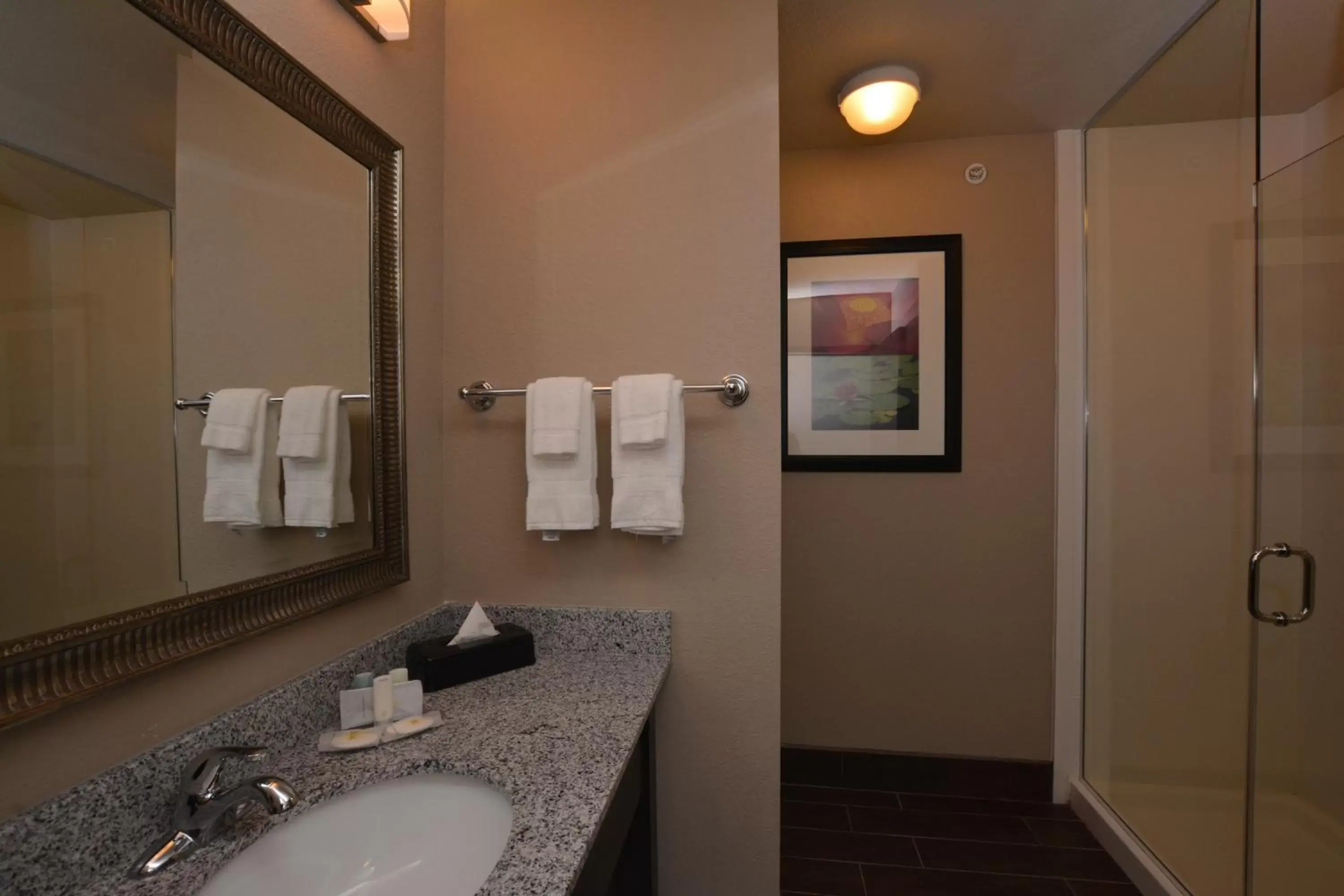Bathroom in Comfort Inn & Suites Newcastle - Oklahoma City