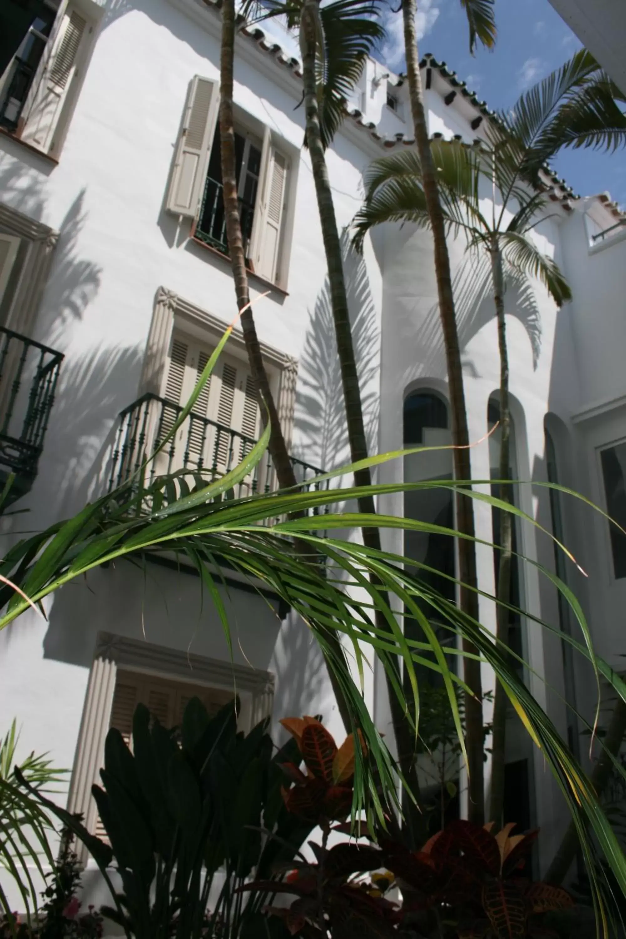 Facade/entrance, Property Building in Hotel Plaza Cavana