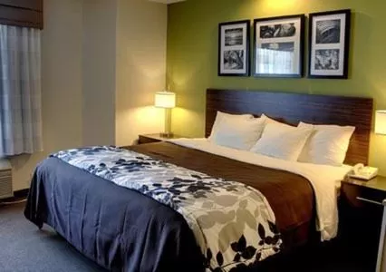 King Room - Non-Smoking in Sleep Inn Decatur I-72