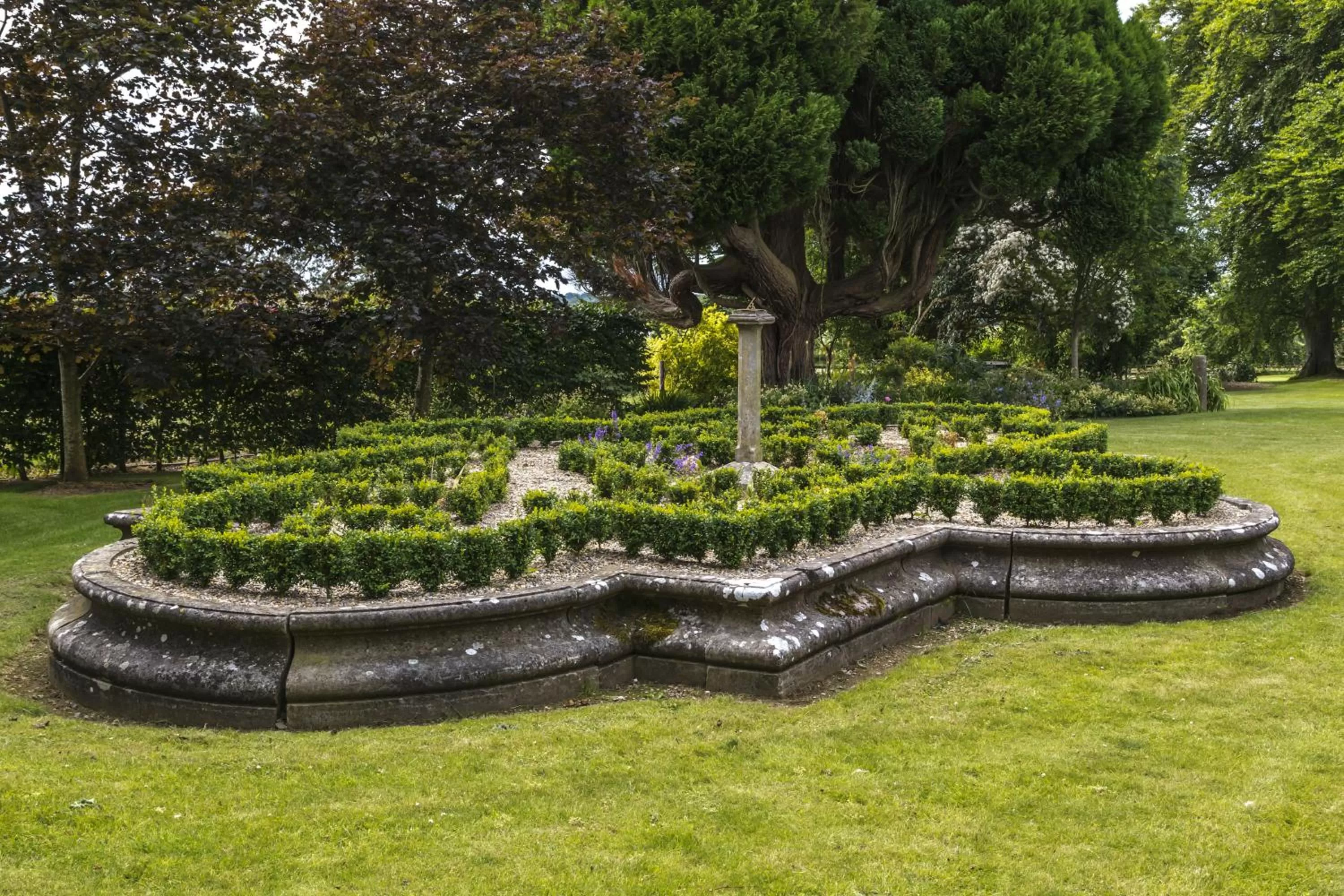 Garden in College Hill House