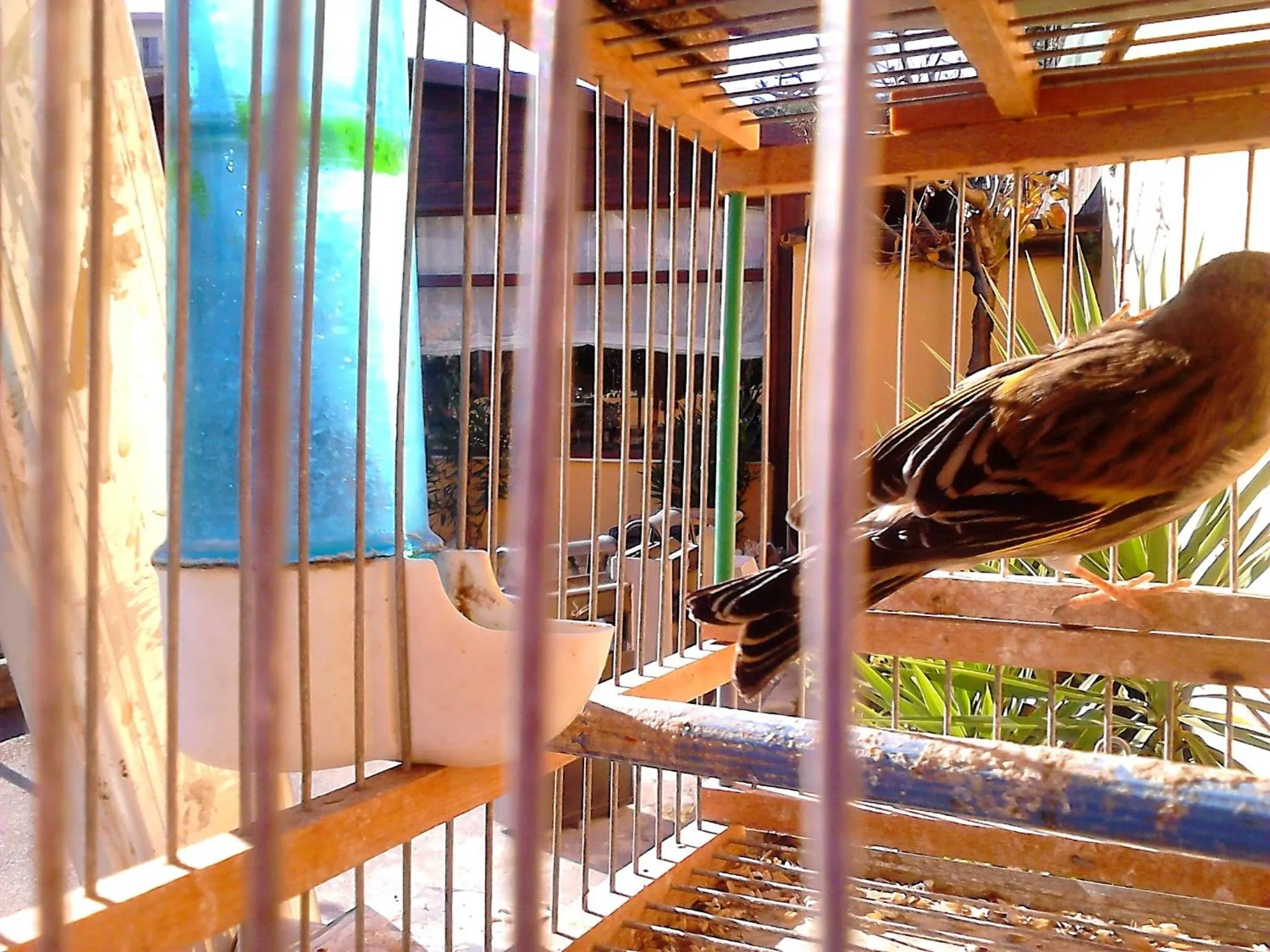 Other in Green Park Hotel