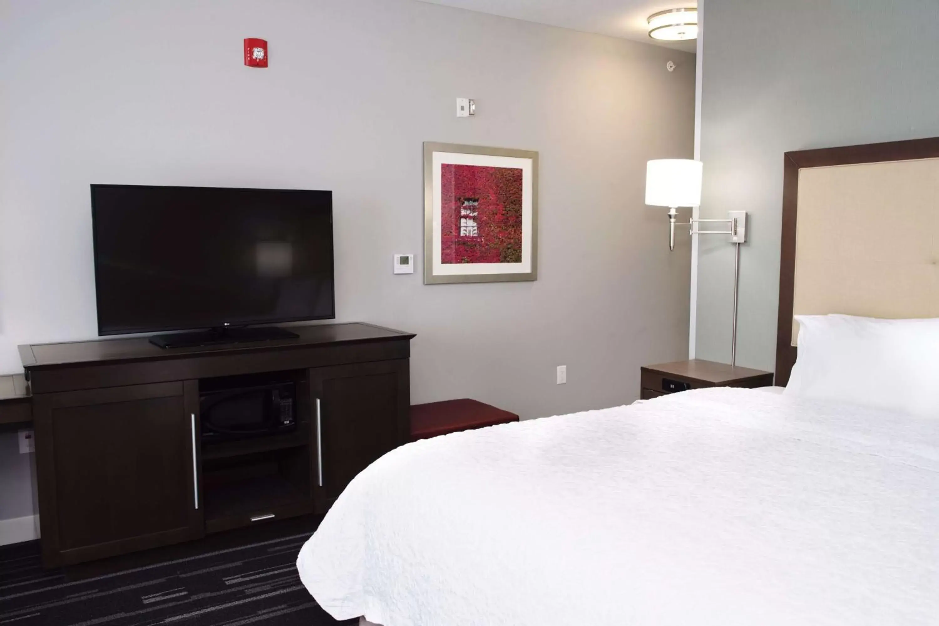 Bedroom, Bed in Hampton Inn By Hilton - Suites Des Moines-Urbandale IA