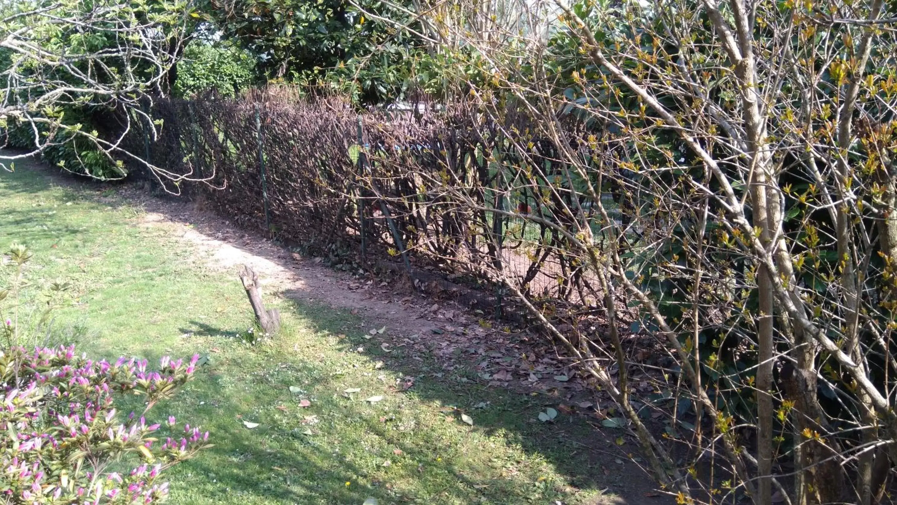 Natural landscape in B&B Il Glicine di Basiglio