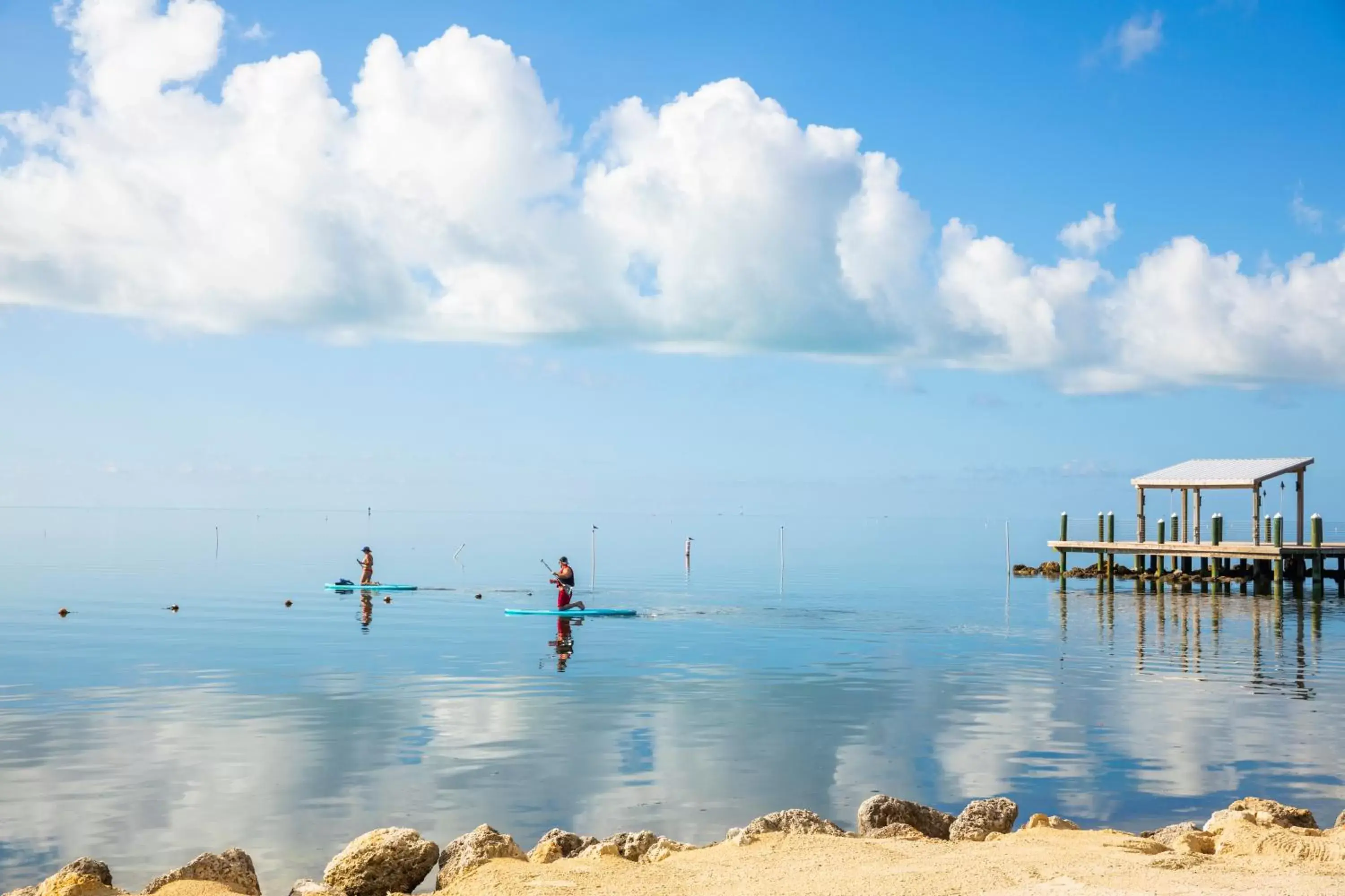 Entertainment in Pelican Cove Resort & Marina