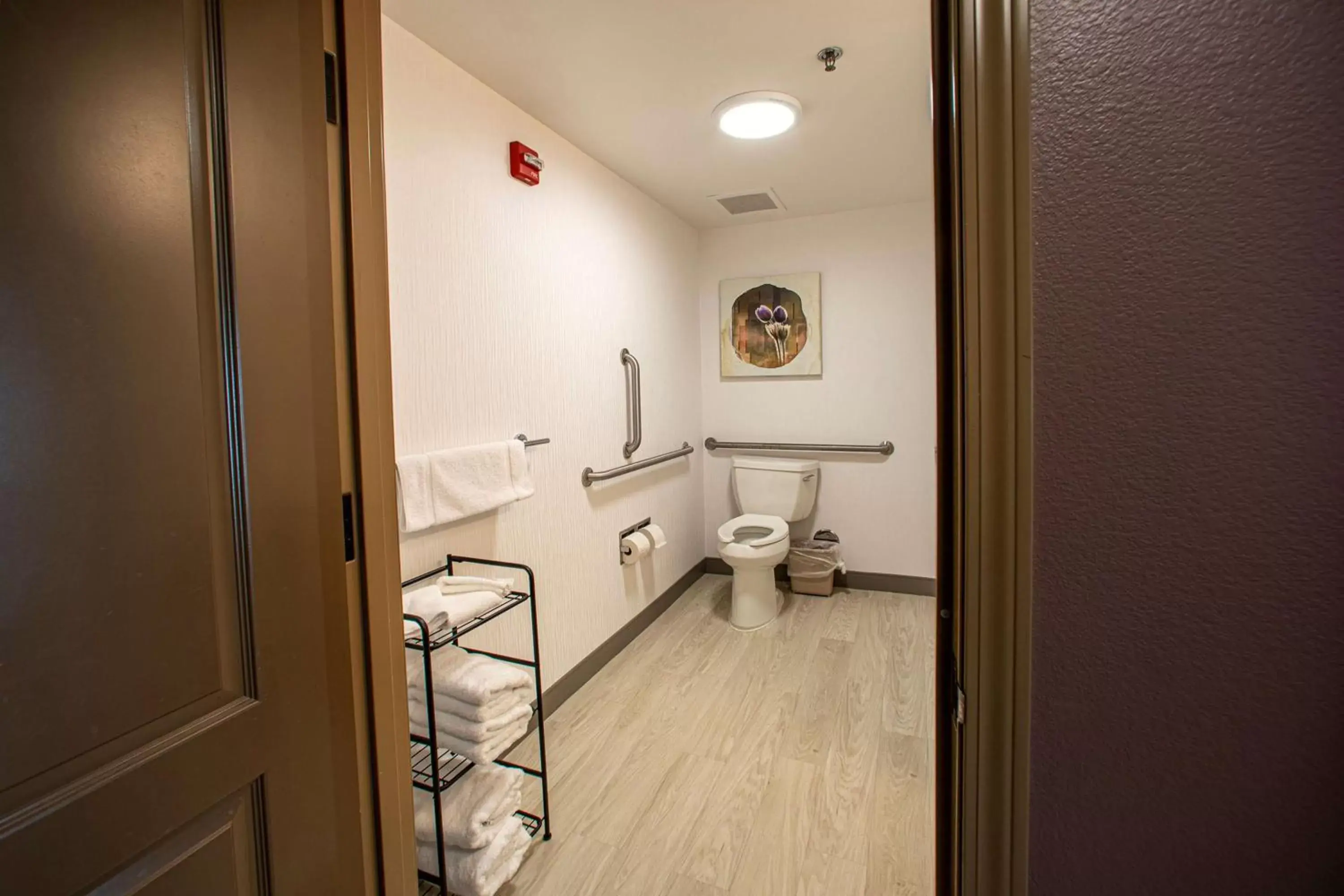 Bathroom in Hilton Garden Inn Rapid City