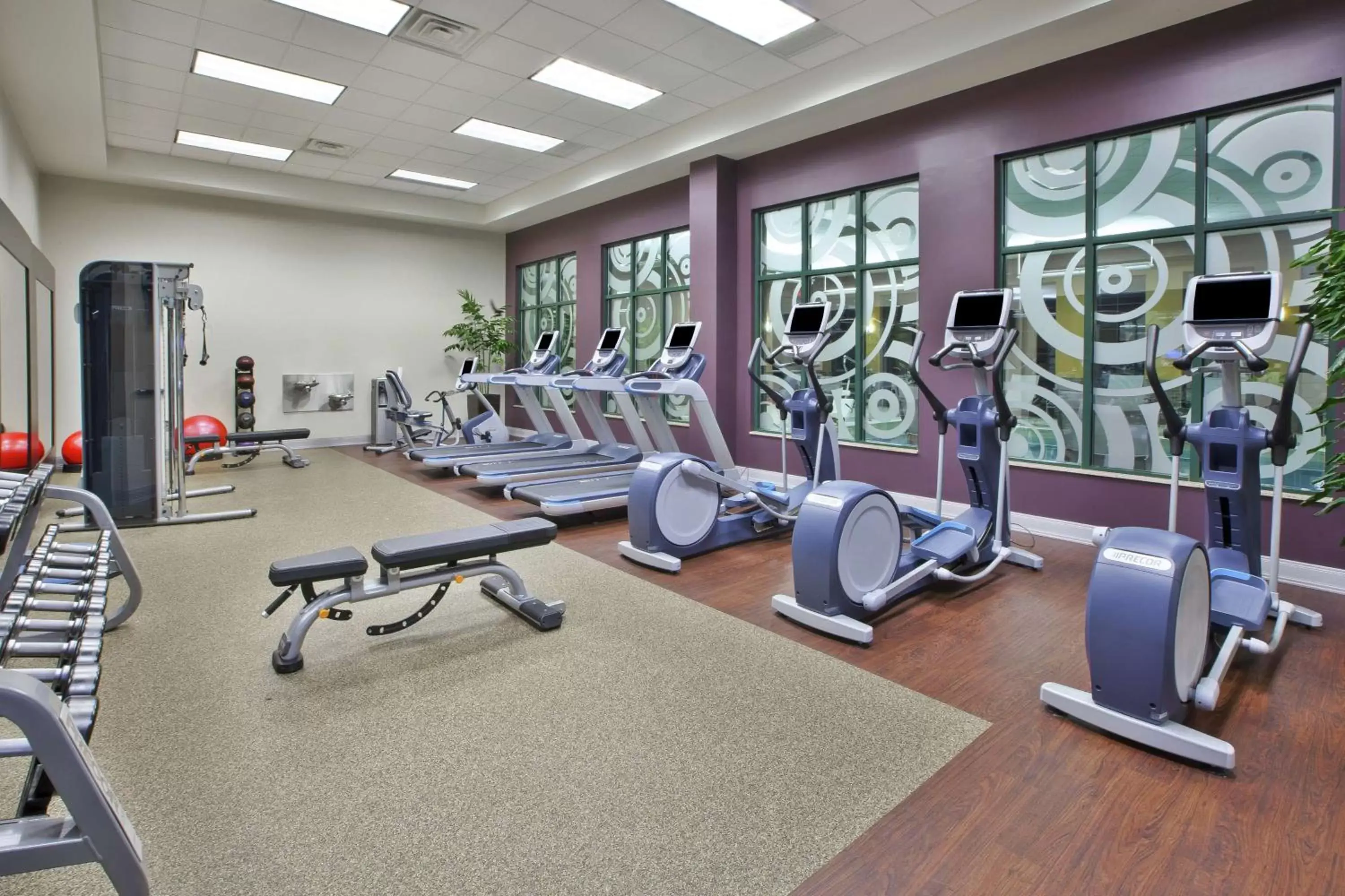 Fitness centre/facilities, Fitness Center/Facilities in Embassy Suites Columbus - Airport