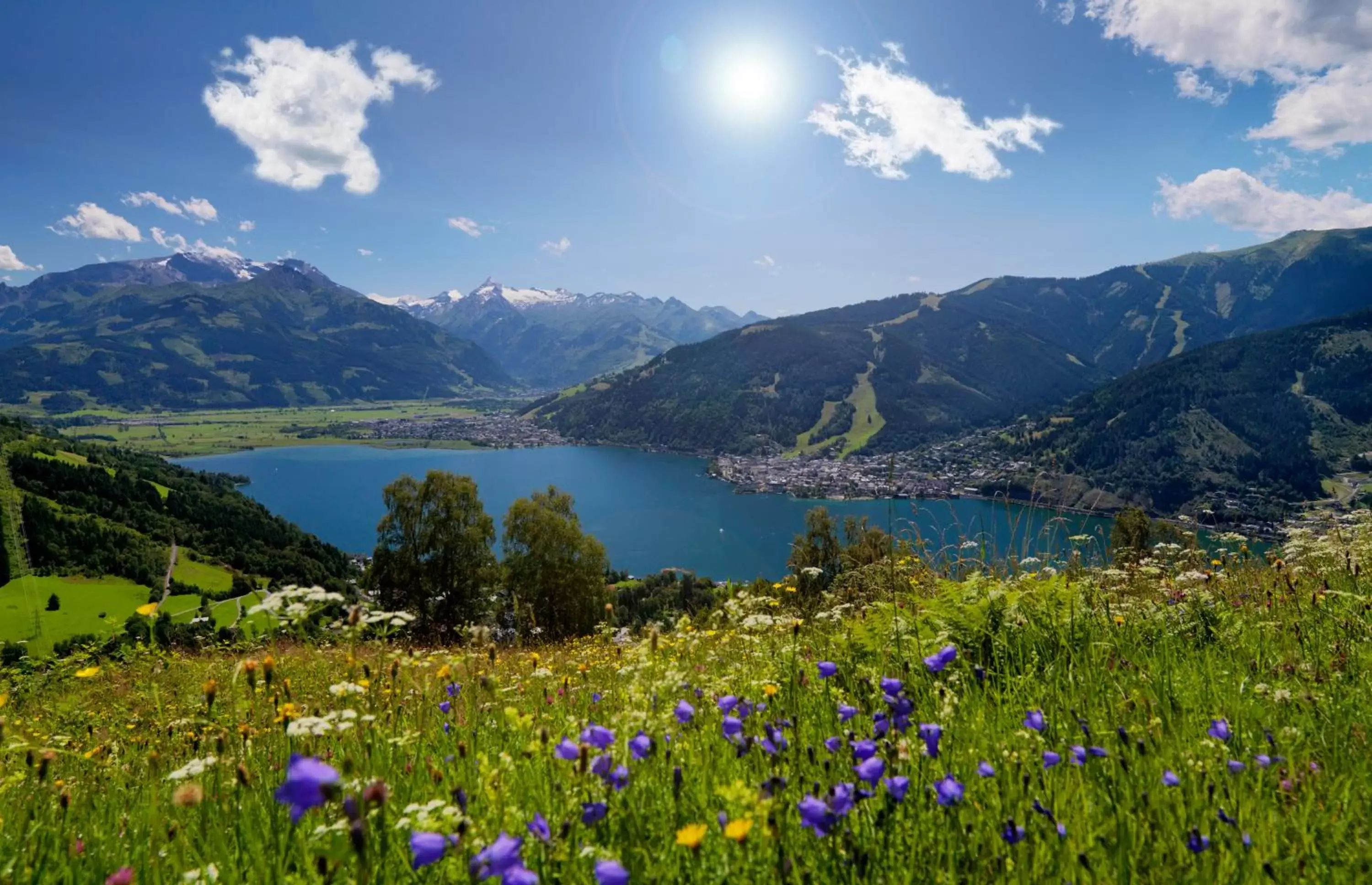 Natural landscape in Hotel Stadt Wien