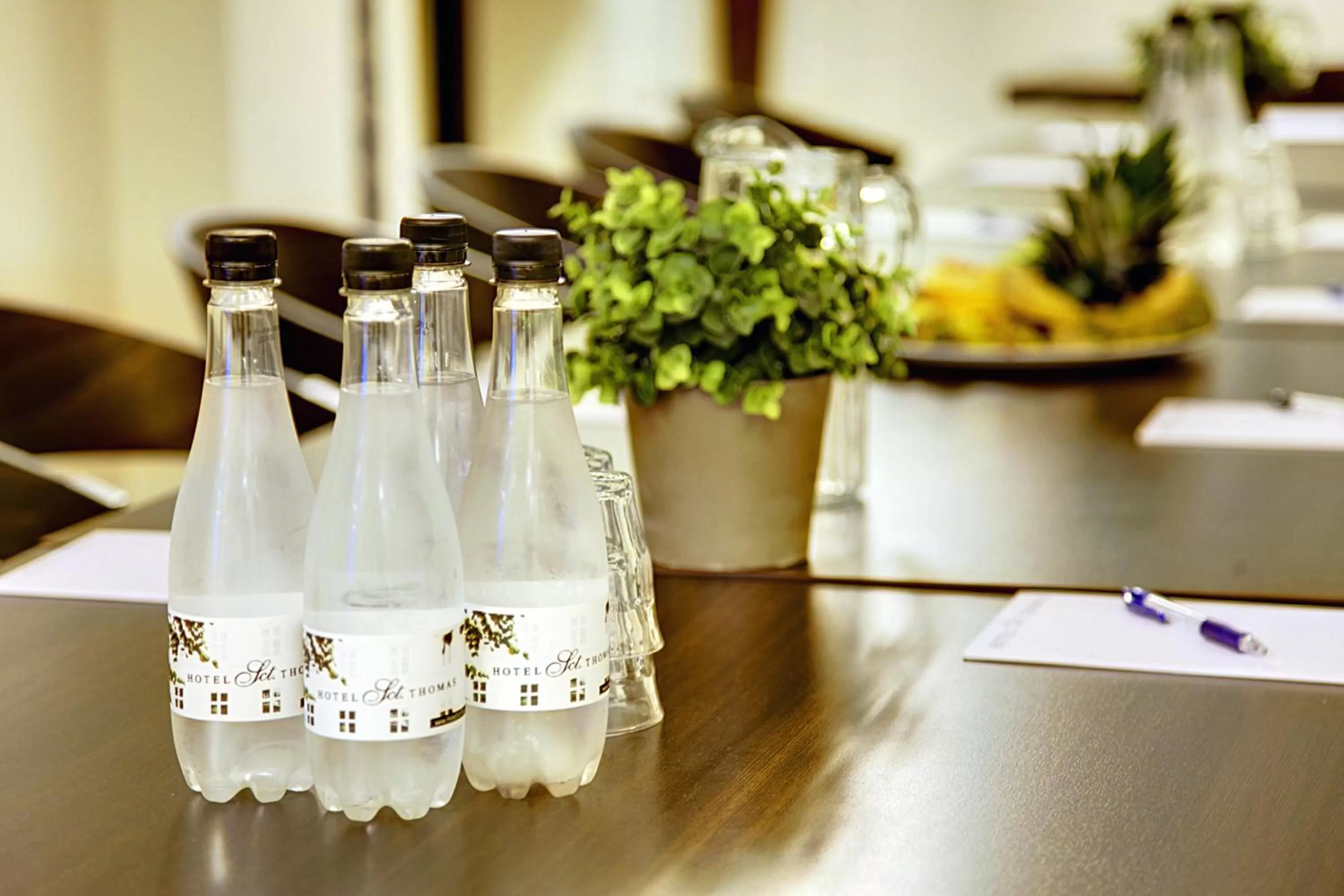 Business facilities in Hotel Sct. Thomas