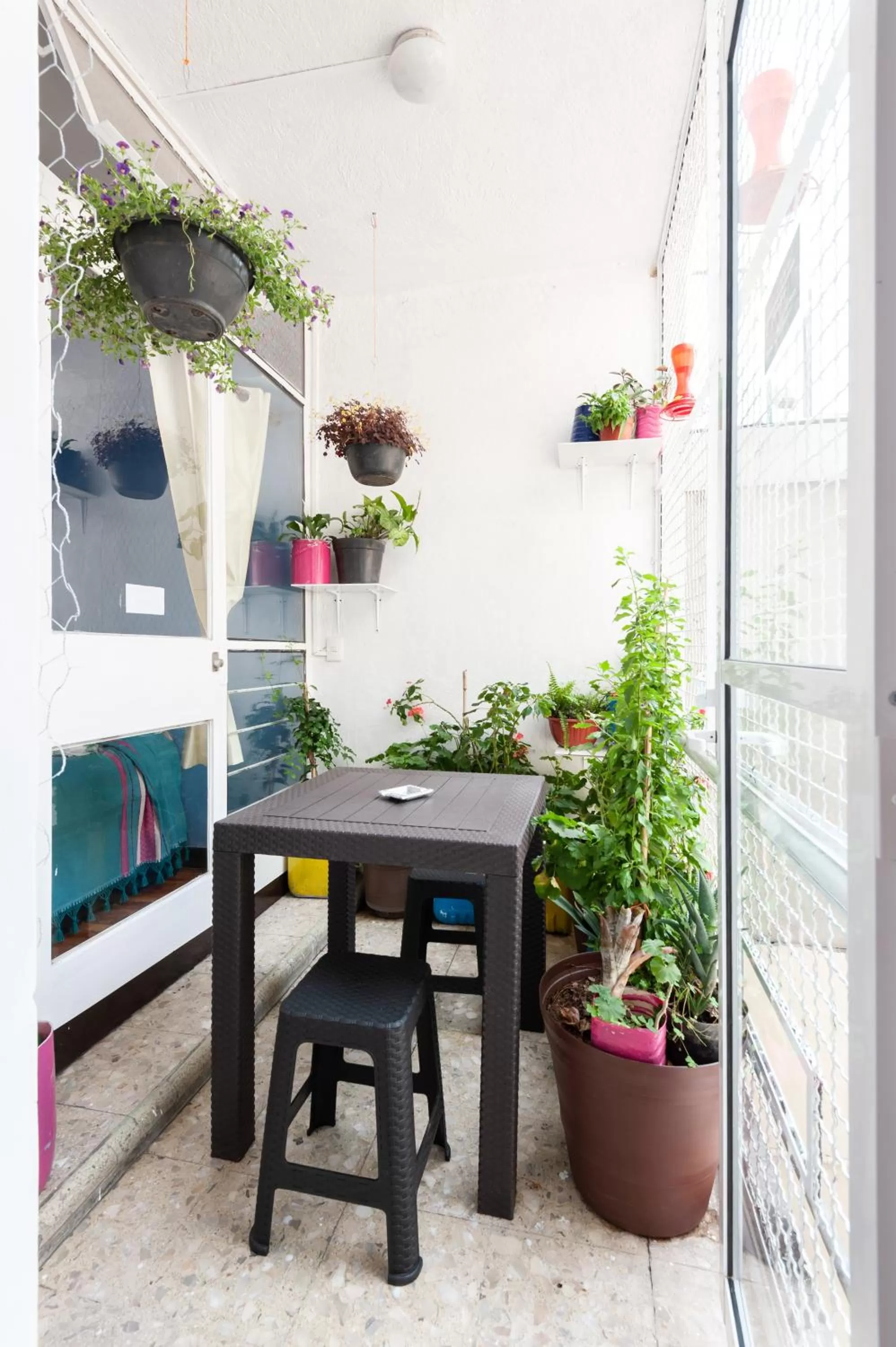 Patio in Casa Itzae B&B Polanquito Dog Friendly