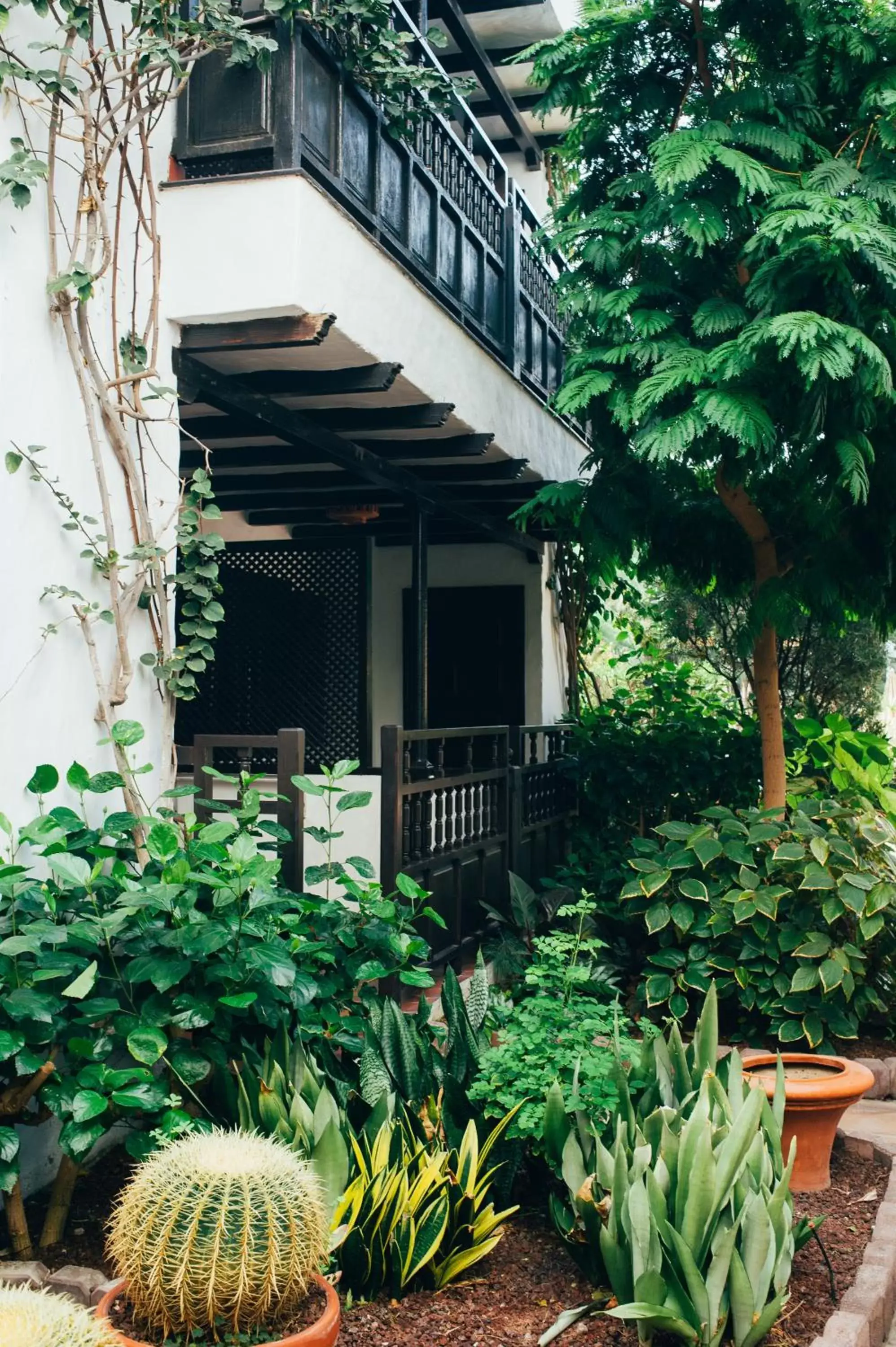 Balcony/Terrace, Property Building in Hotel Parque Tropical