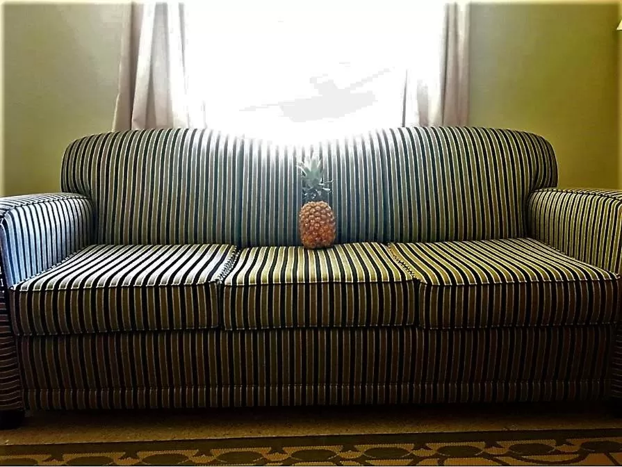 Living room, Seating Area in Gold Coast Family Cottages