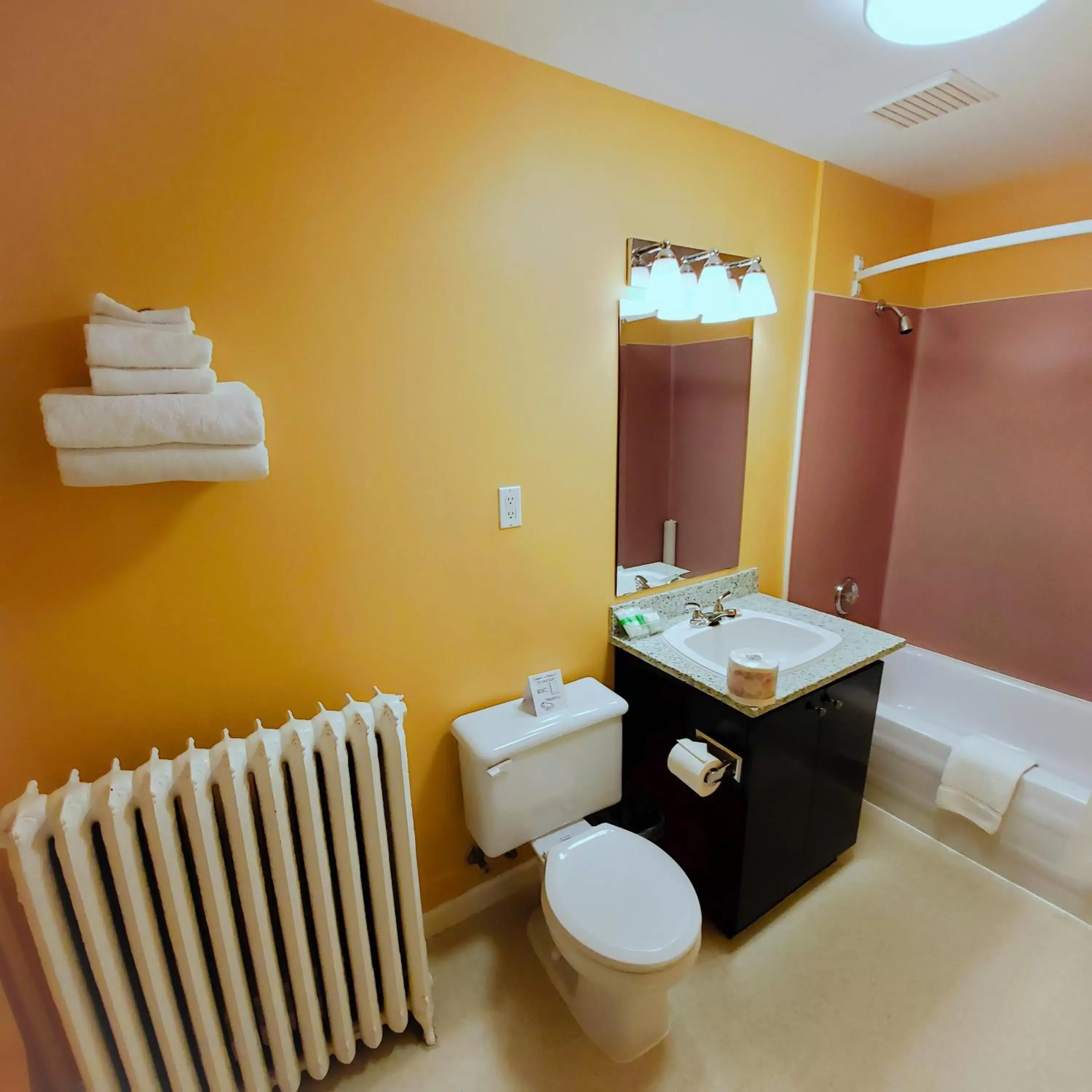 Shower, Bathroom in James Bay Inn Hotel, Suites & Cottage
