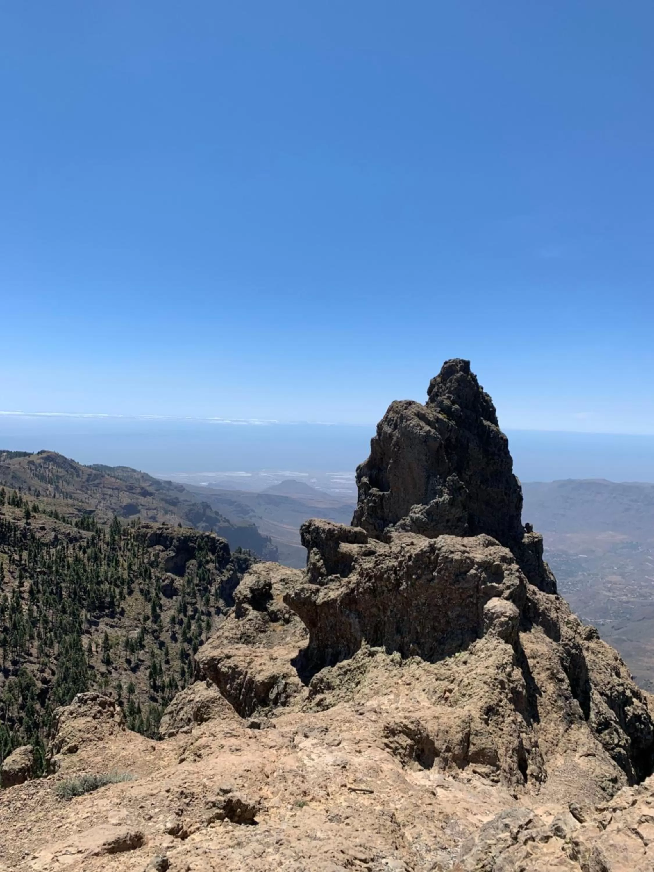 Natural landscape in Villa Rosaura