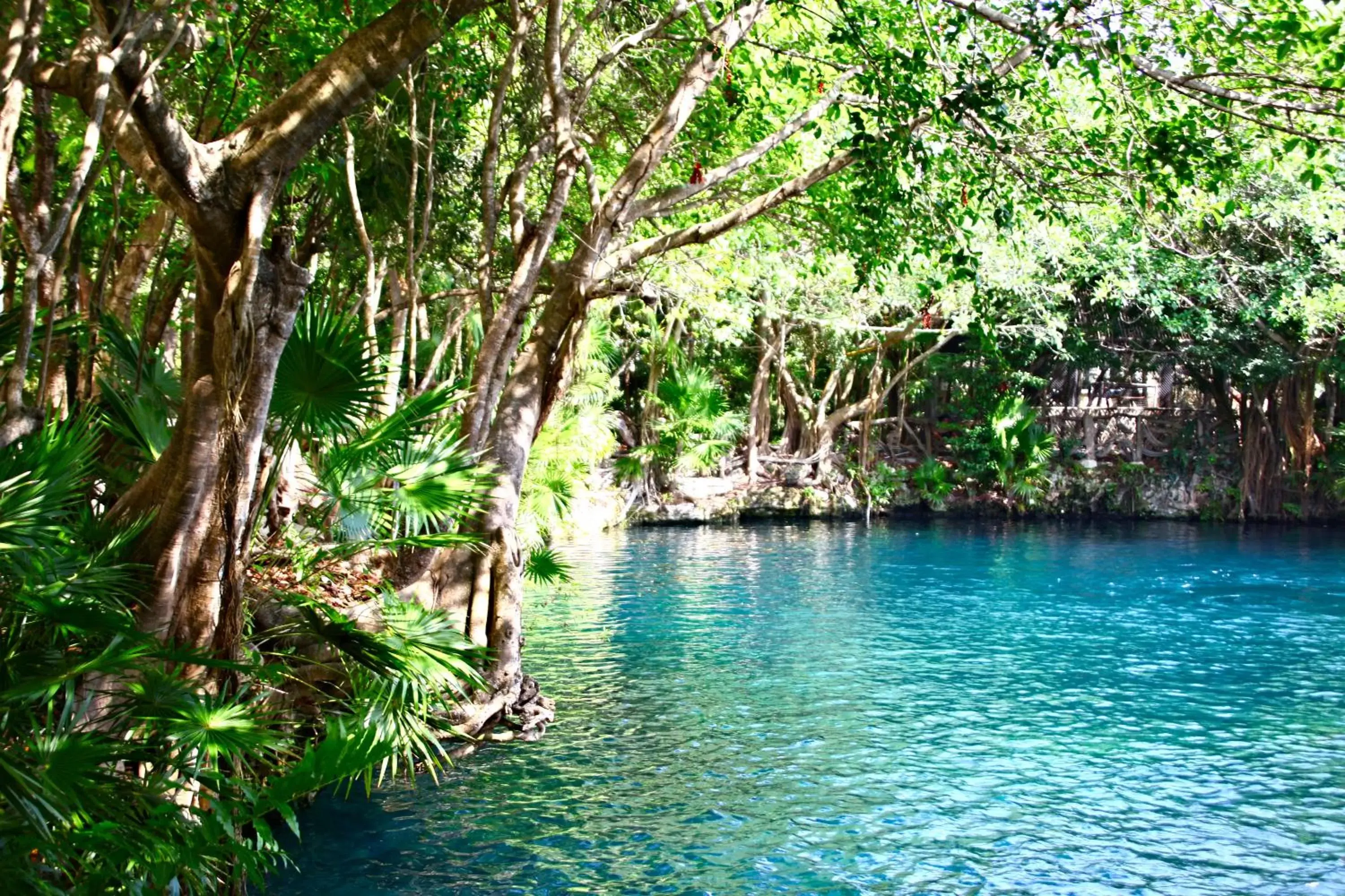 Natural Landscape in Select Club at Sandos Caracol All Inclusive - Adults Only Area