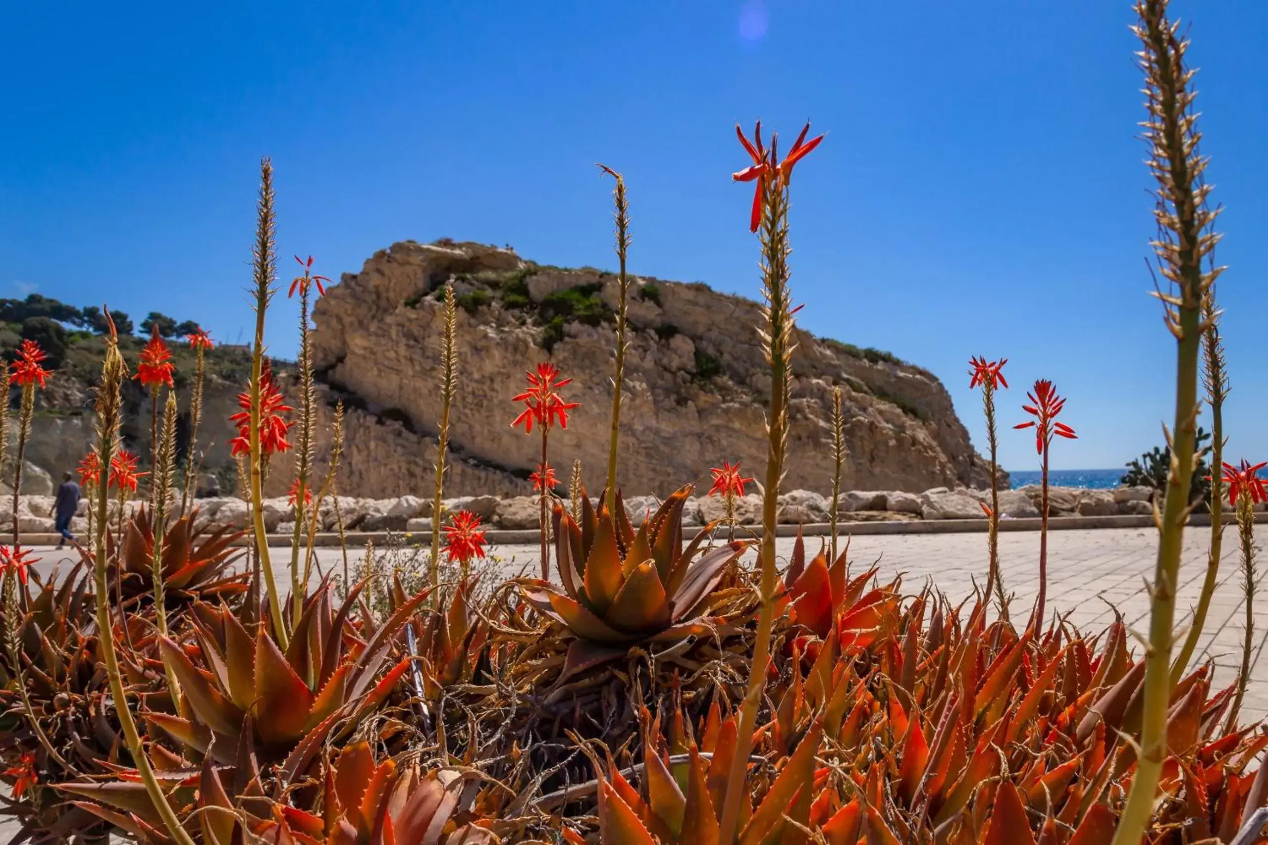 Natural landscape in RoccaRegina Hotel