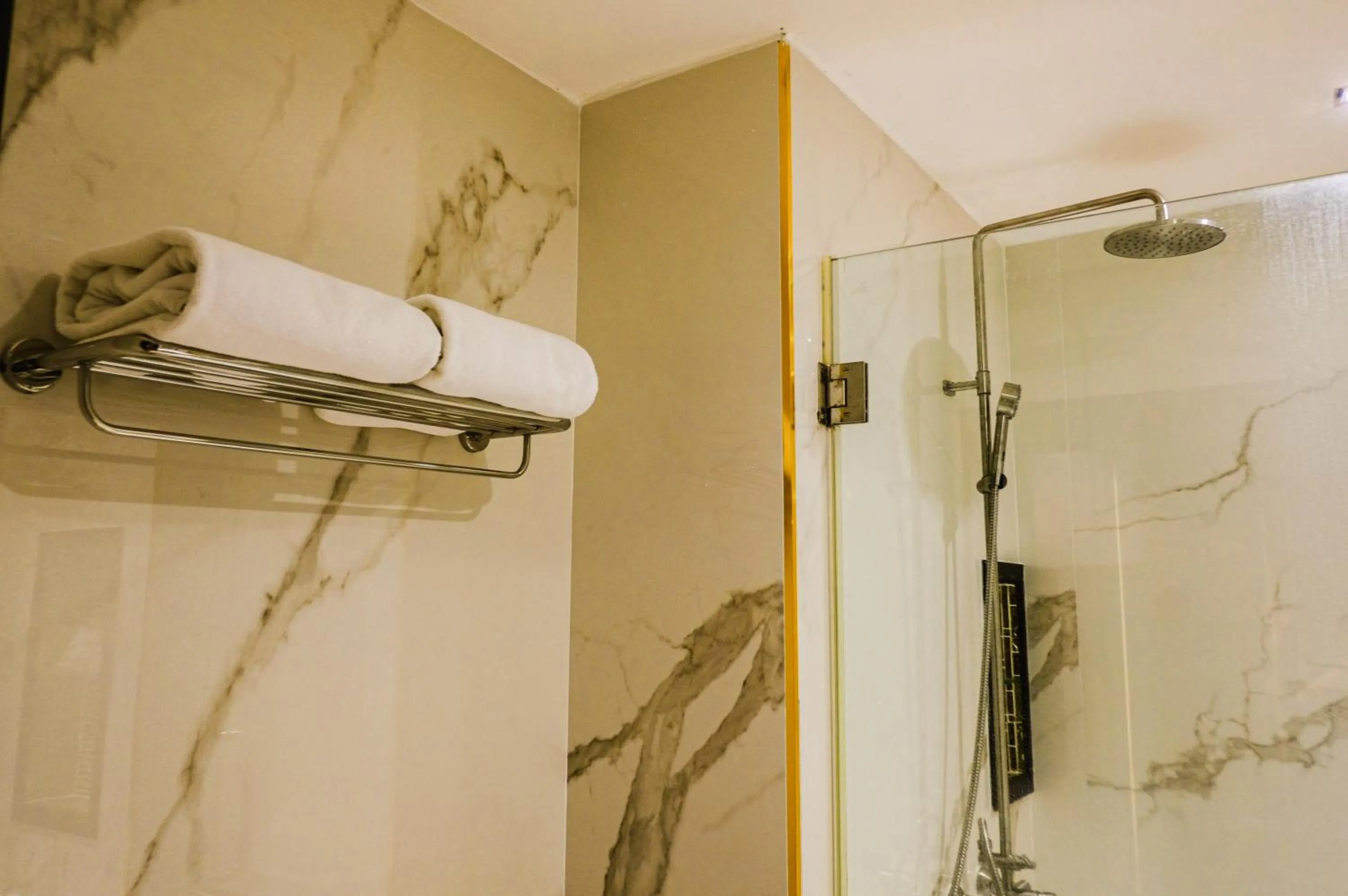 Shower in Nova Platinum Hotel