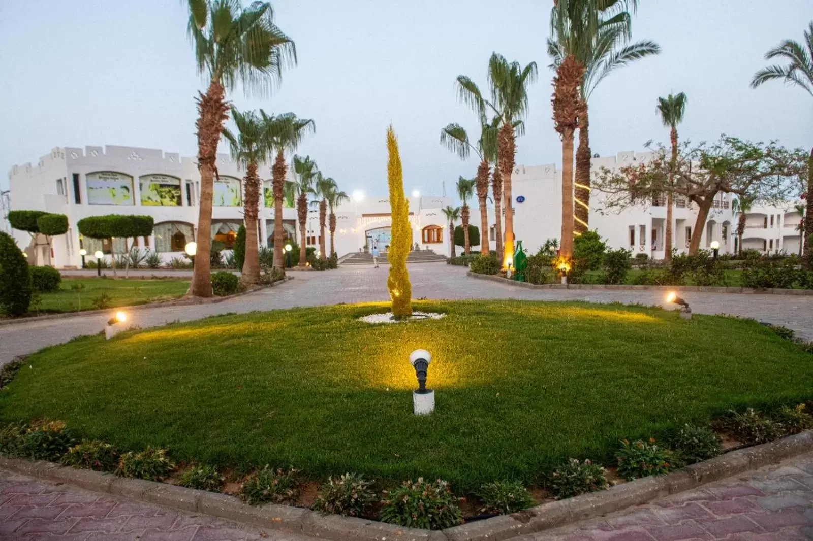 Natural landscape, Garden in Happy Life Village Dahab