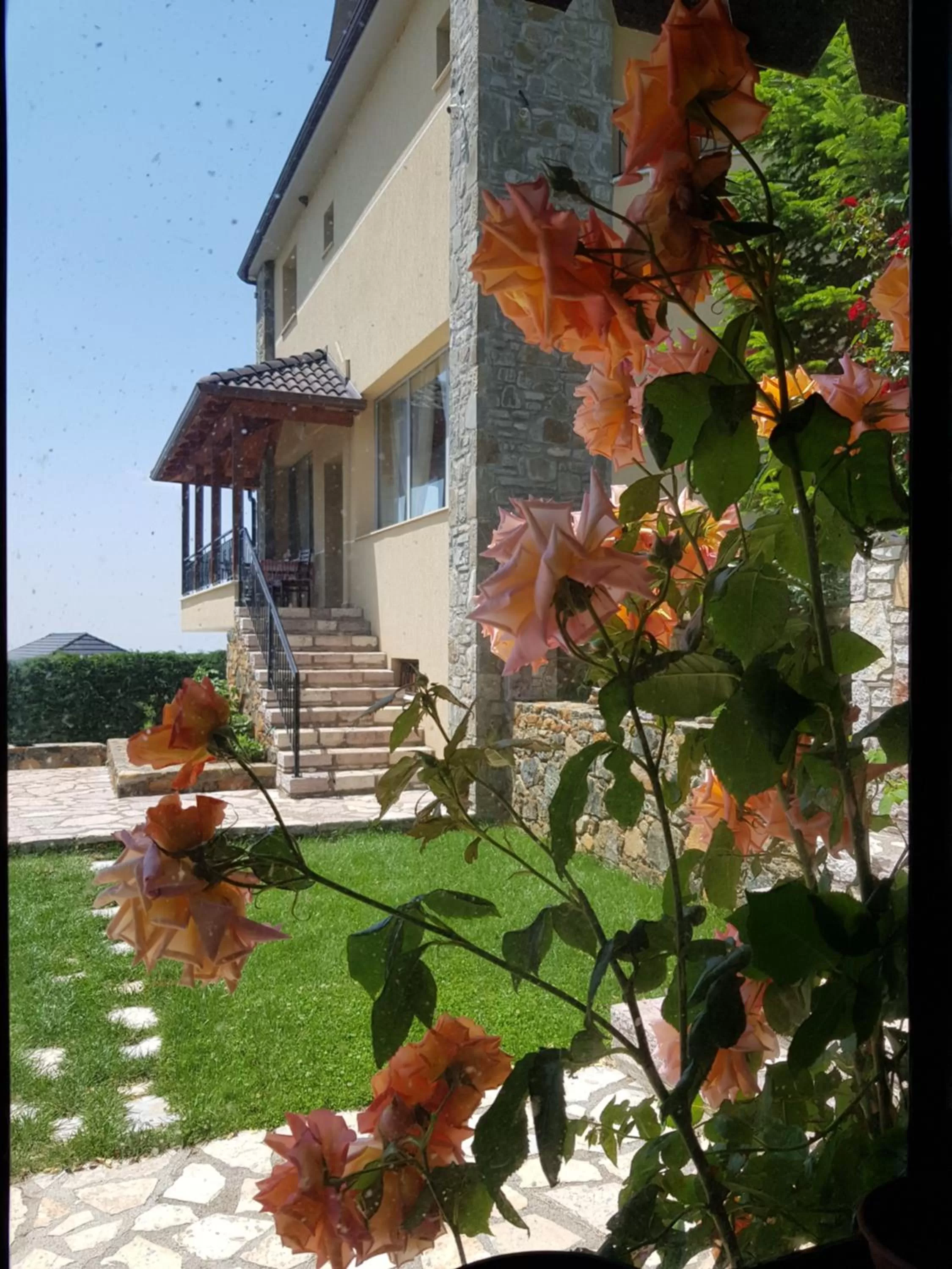 Property Building in Sofra E Shpatit