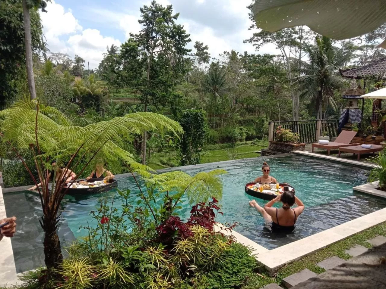 Spring in Nata Ubud