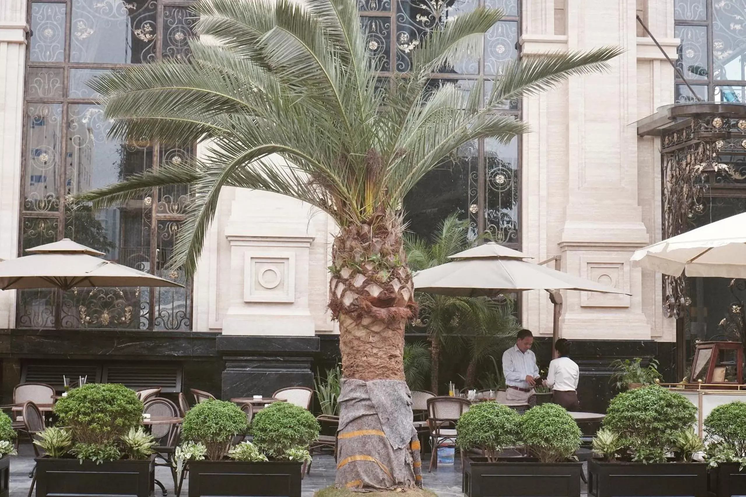 View (from property/room) in D'Lecia Ha Long Hotel View (from property/room) in D'Lecia Ha Long Hotel