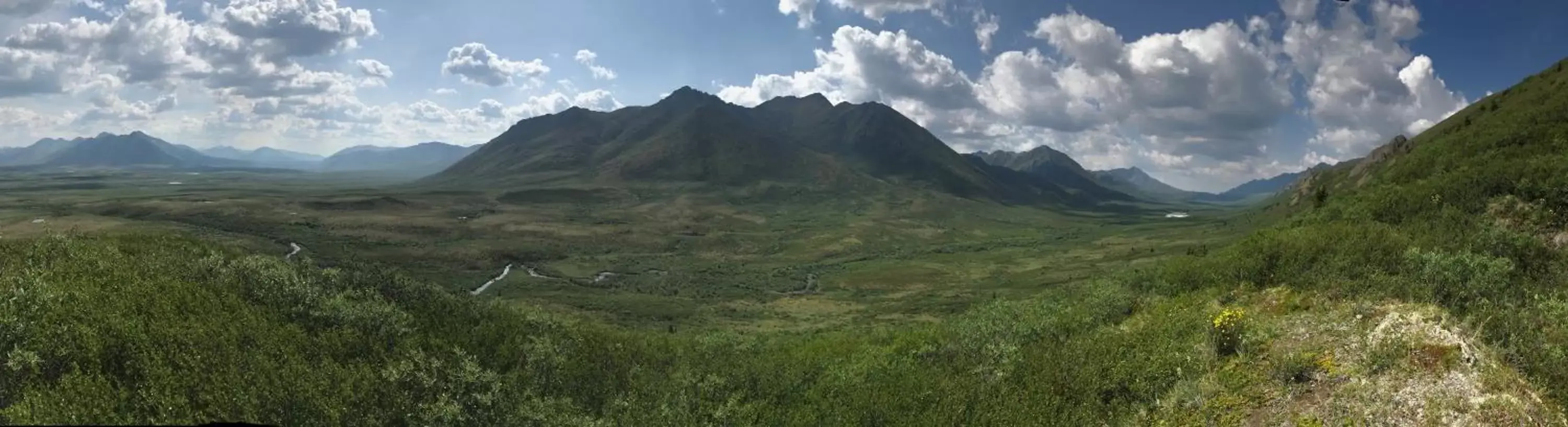 Natural Landscape in Dawson Lodge