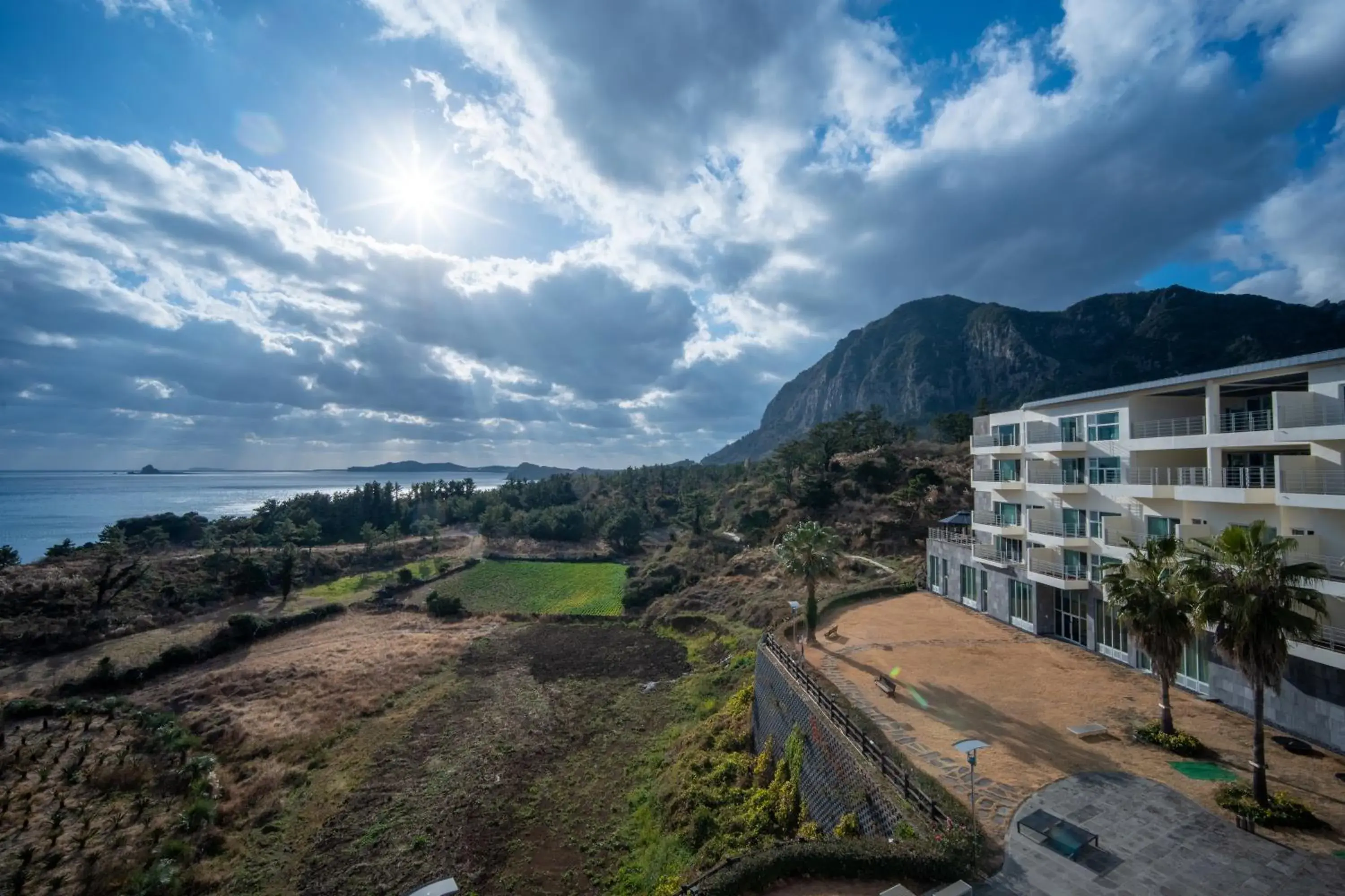 Executive Suite in Y Resort Jeju Executive Suite in Y Resort Jeju