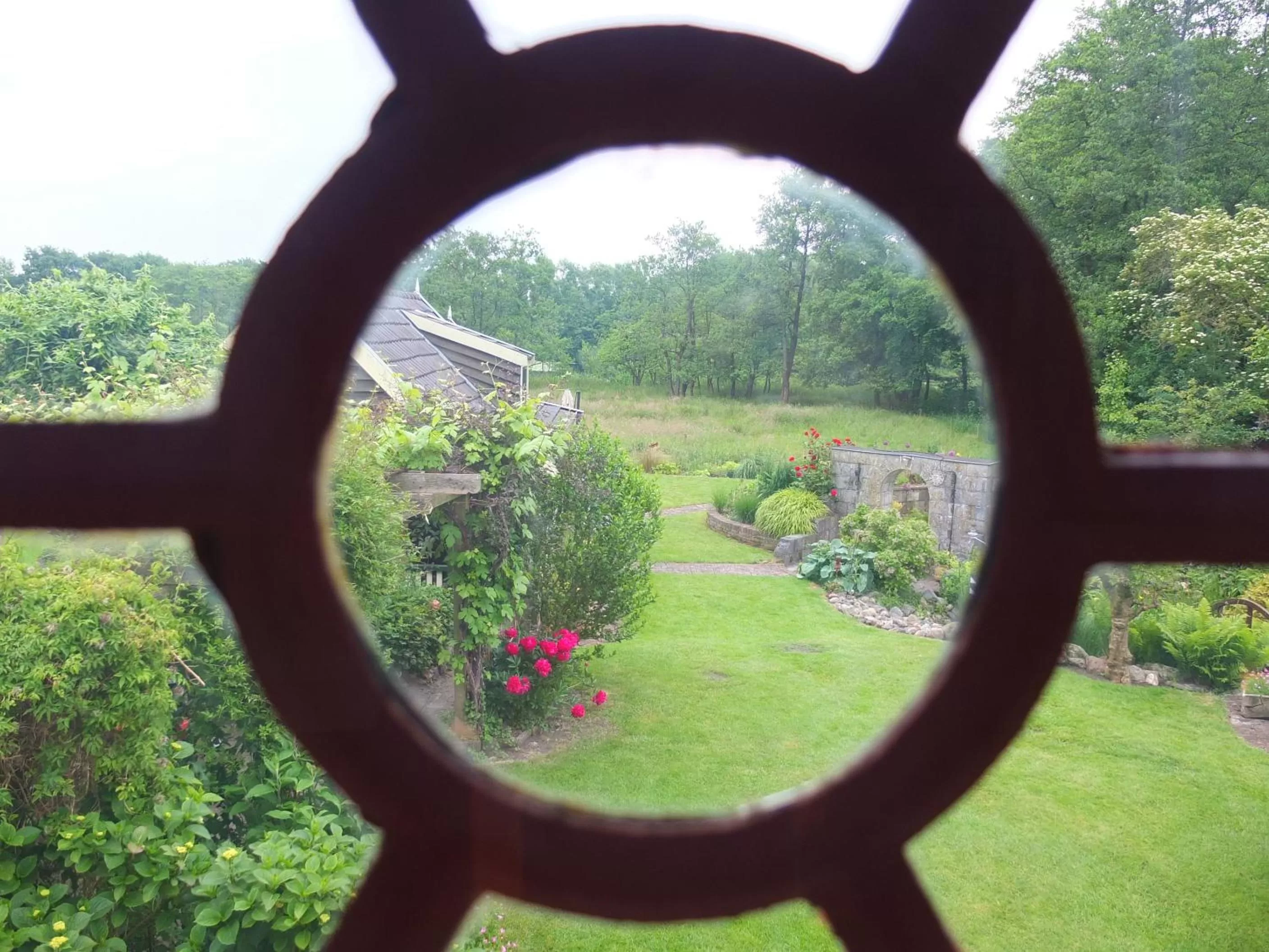 Garden view in De Wiede Blik