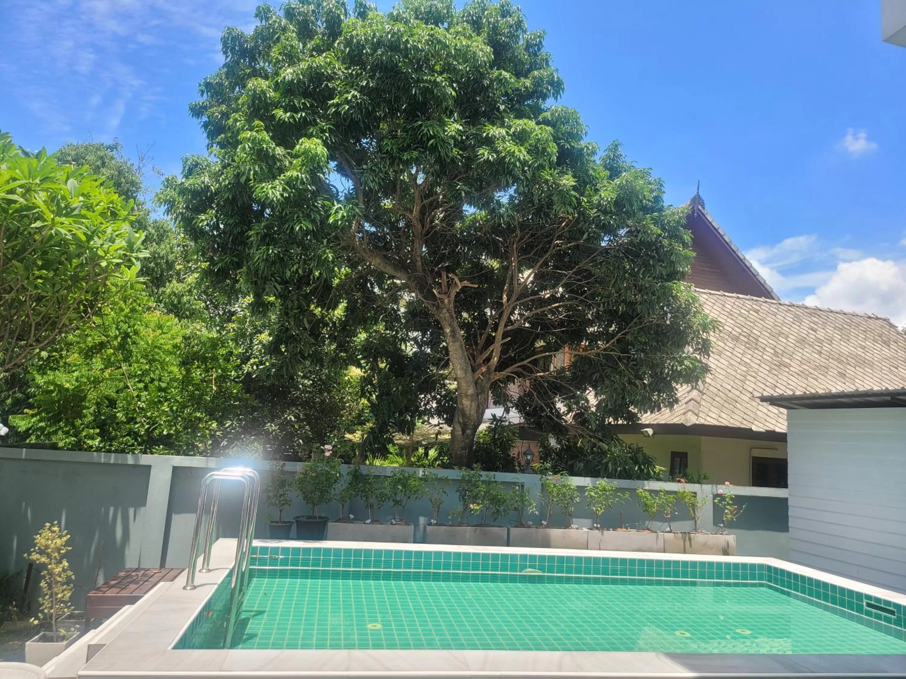 Swimming Pool in THAI HOTEL CHIANGMAI
