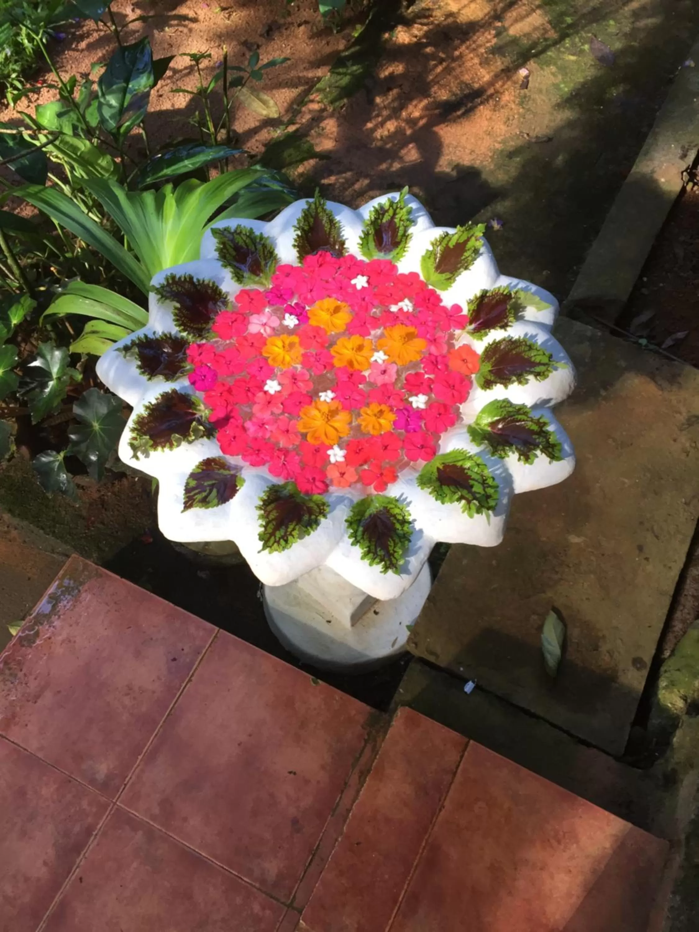 Garden in Le leopard d 'argent