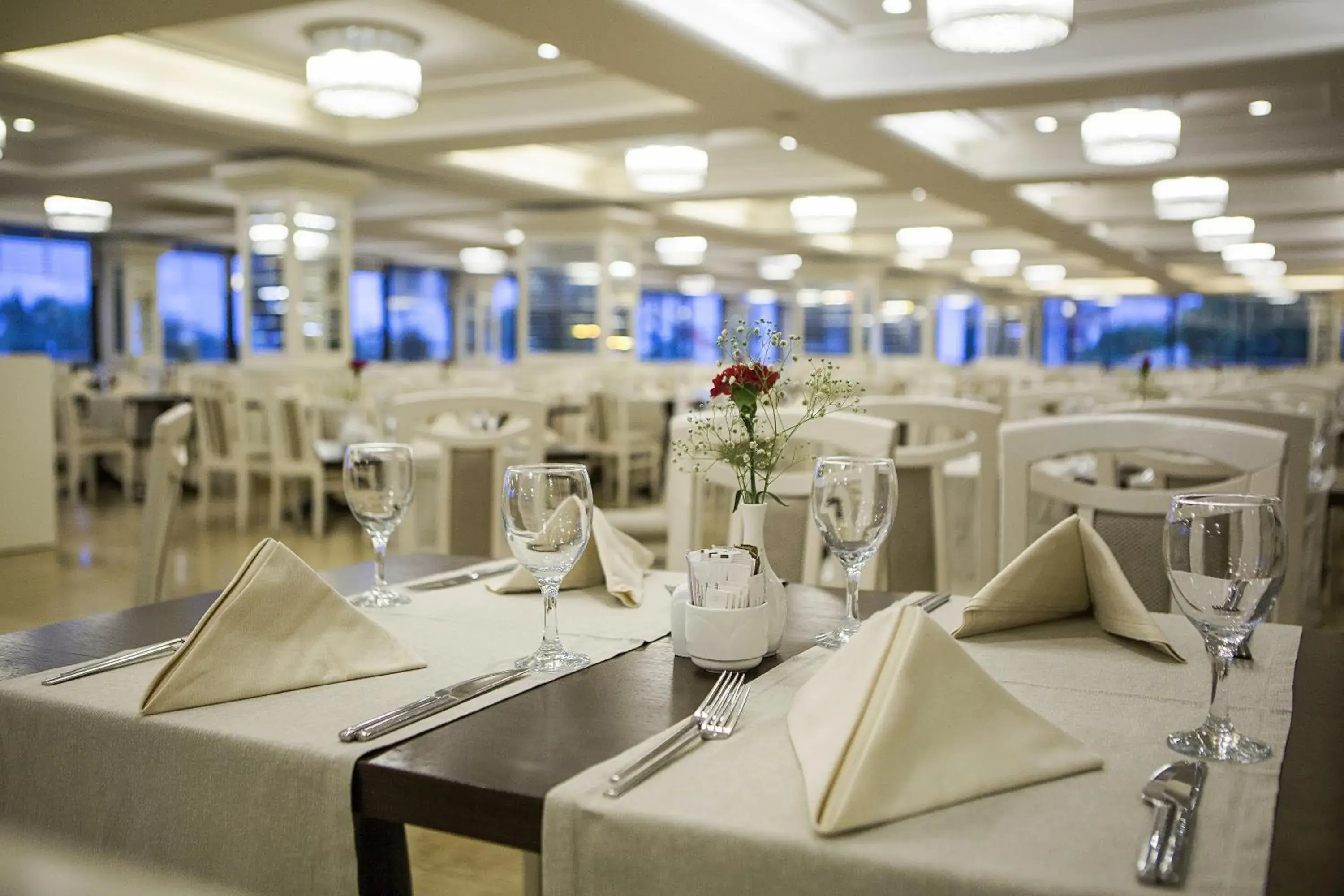 Meals, Restaurant/Places to Eat in Bellis Deluxe Hotel
