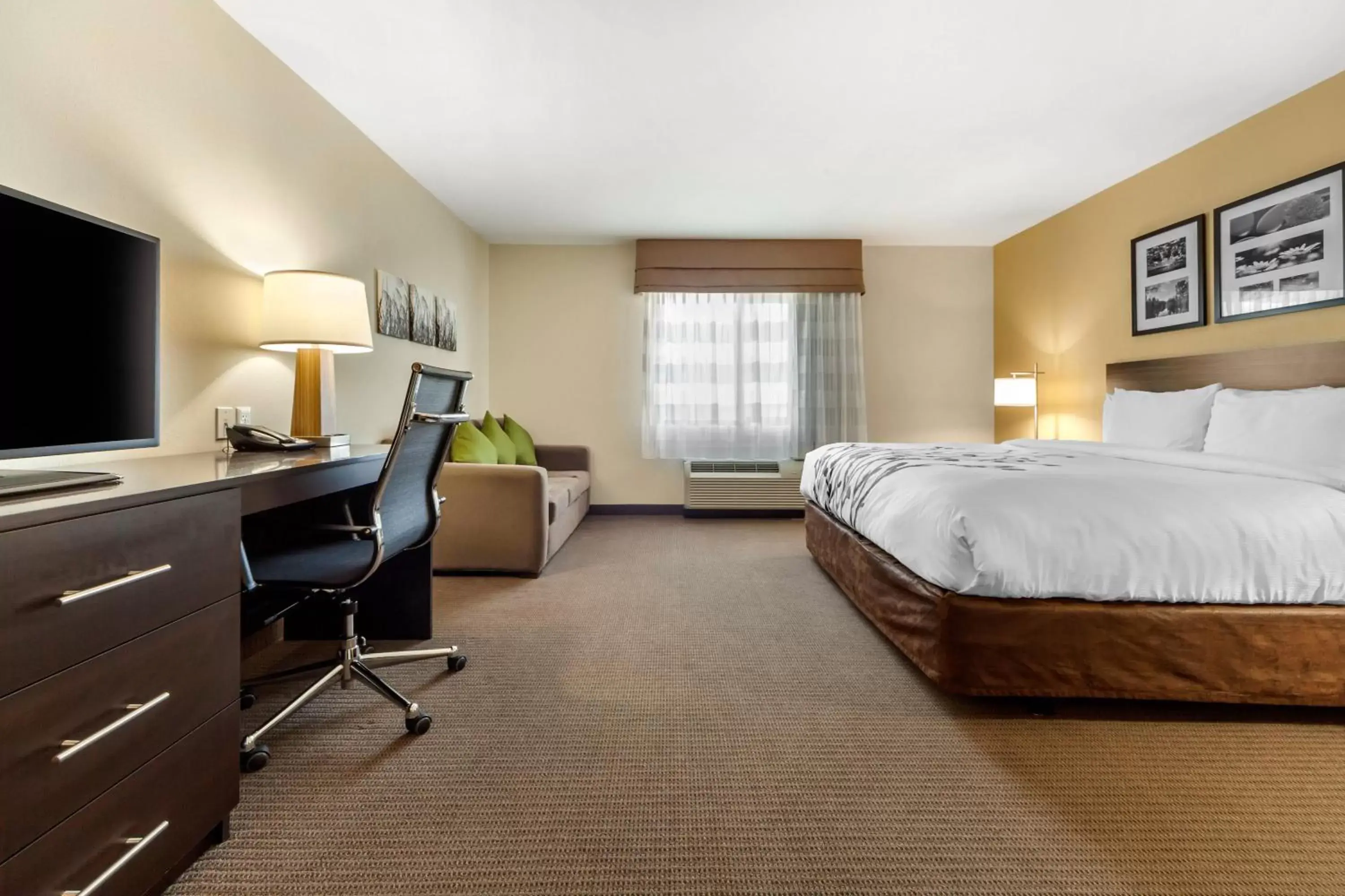 Photo of the whole room in Sleep Inn & Suites Devils Lake