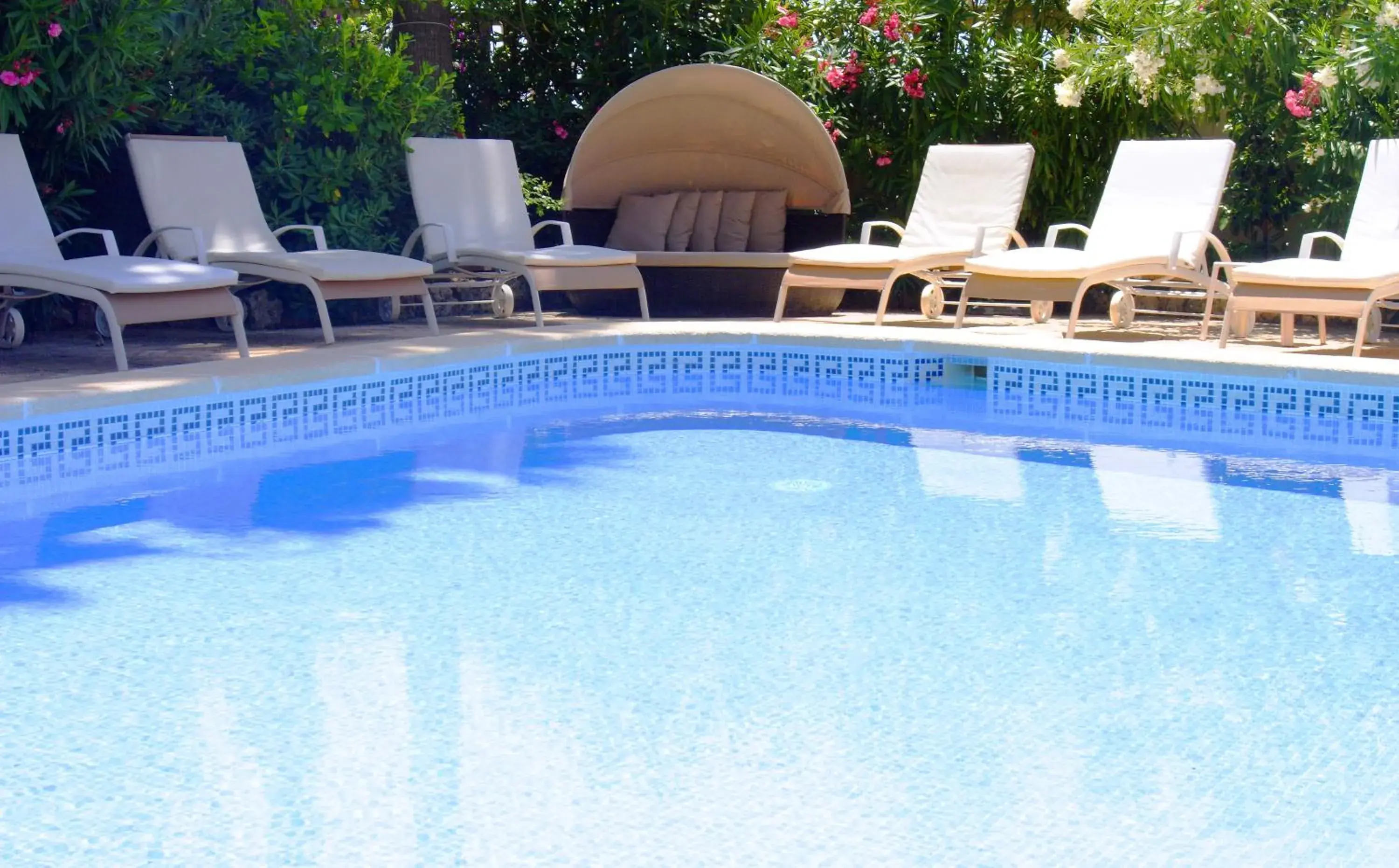 Garden, Swimming Pool in Hotel Ciutat Jardi