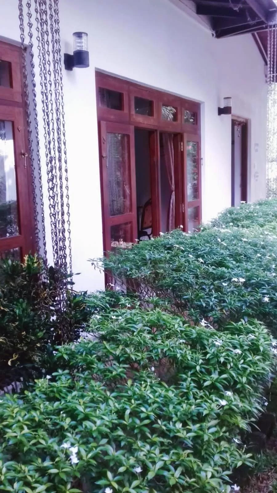 Garden in Villa DeLorenta