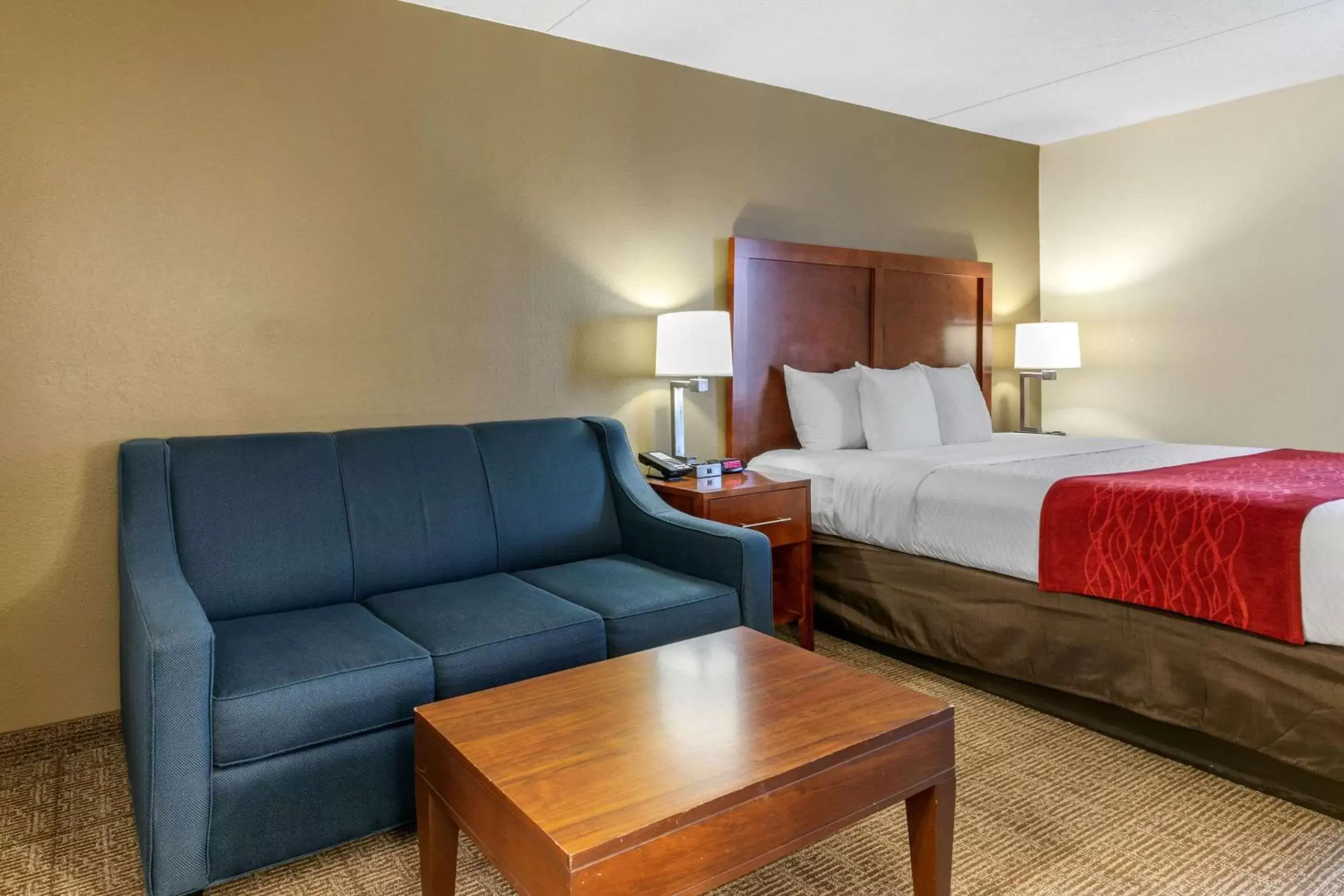 Photo of the whole room in Comfort Inn Downtown Chattanooga