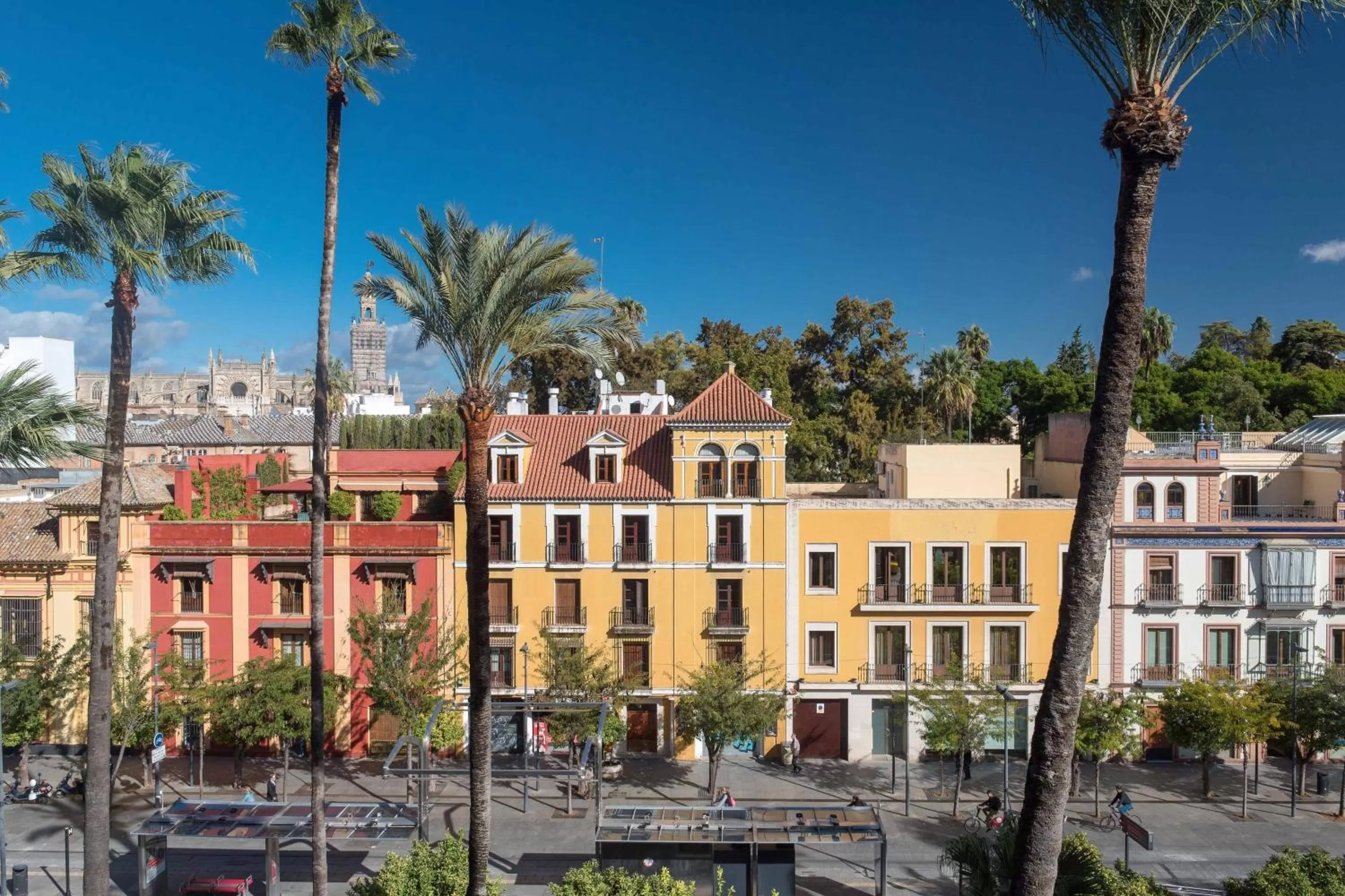 Photo of the whole room in Hotel Alfonso XIII, a Luxury Collection Hotel, Seville