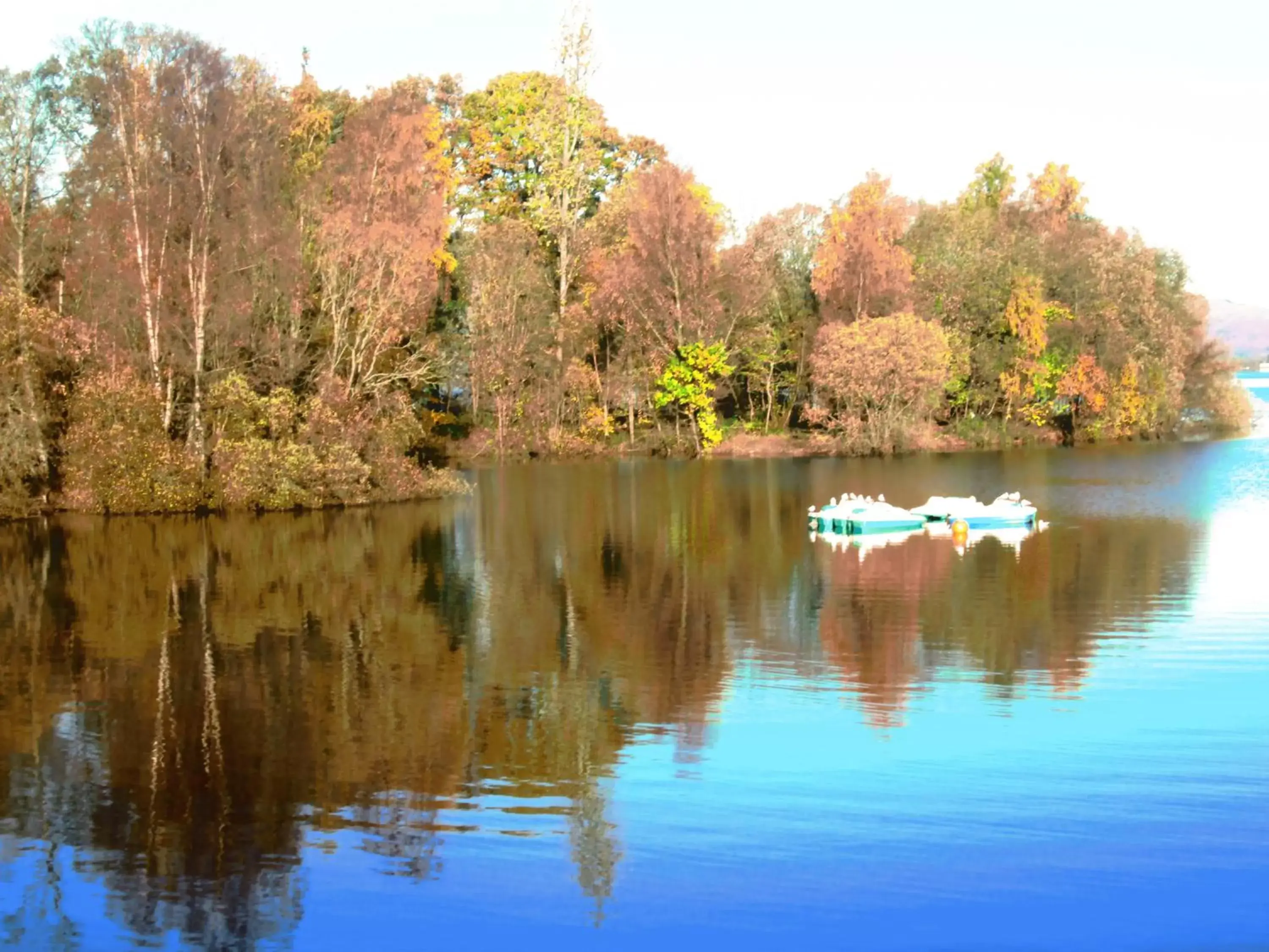 Day in Glenfern Guest House, also self catering cottage with PRIVATE hot tub