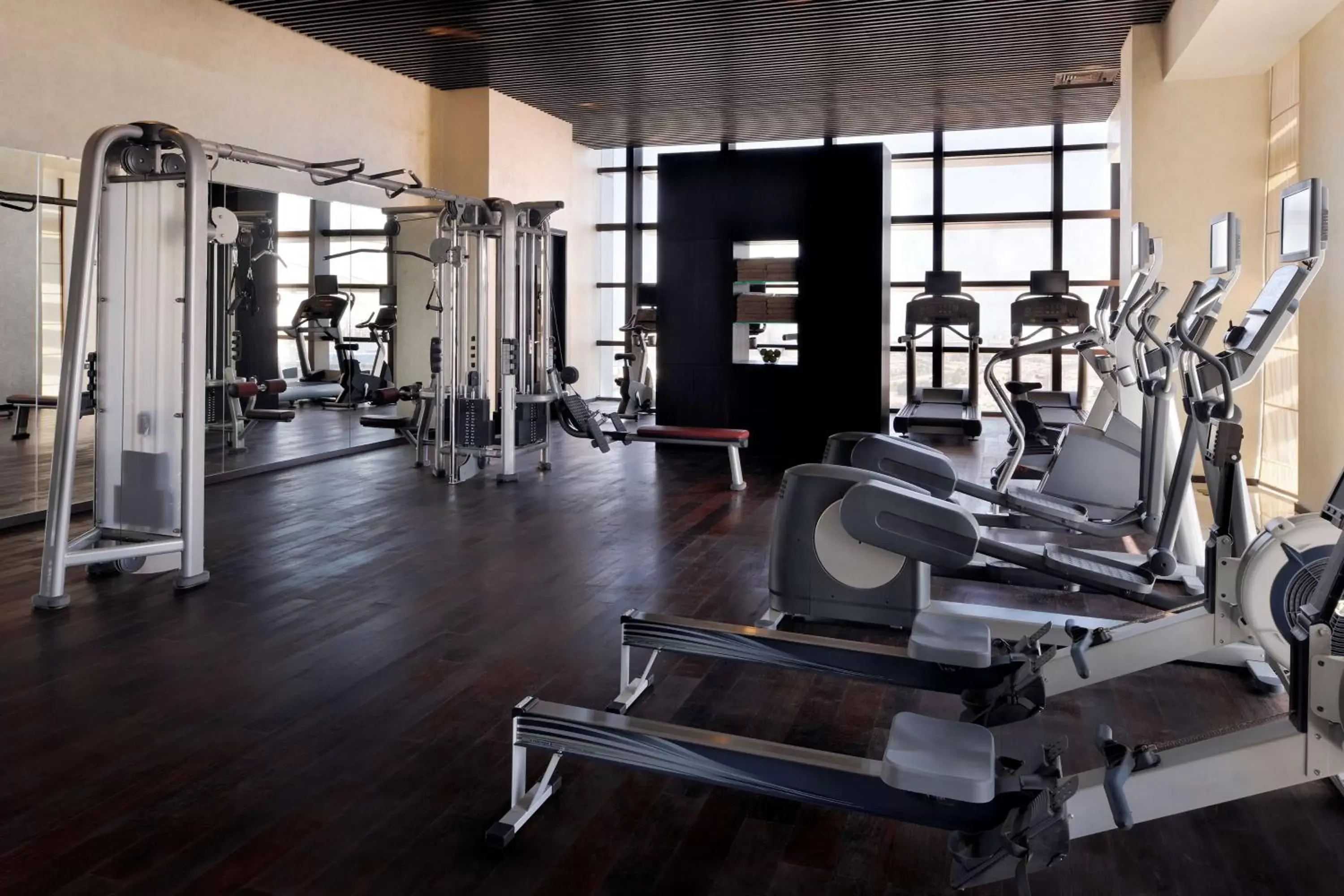 Activities, Fitness Center/Facilities in Southern Sun Abu Dhabi