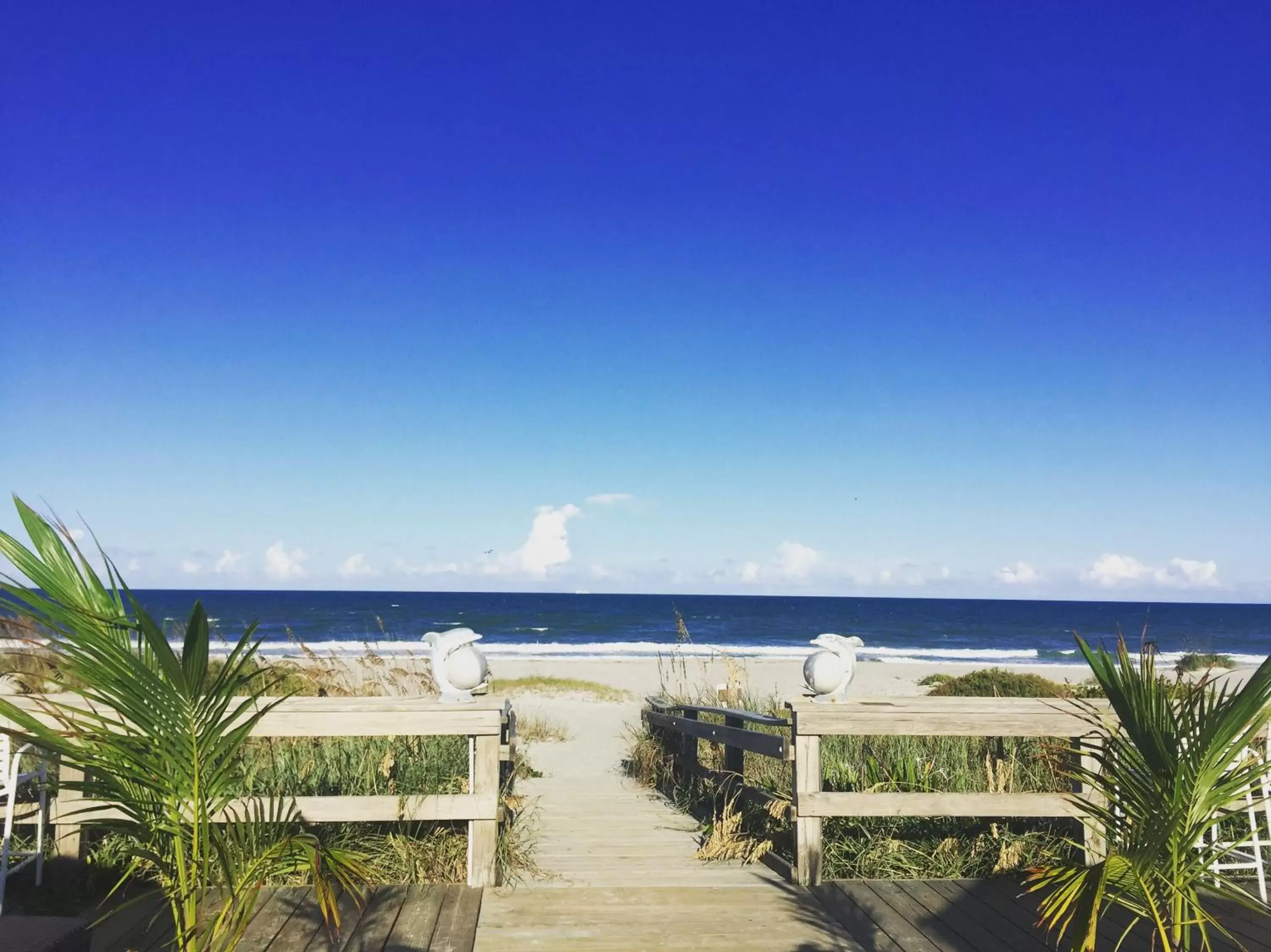 Beach, Sea View in Surf Studio Beach Resort