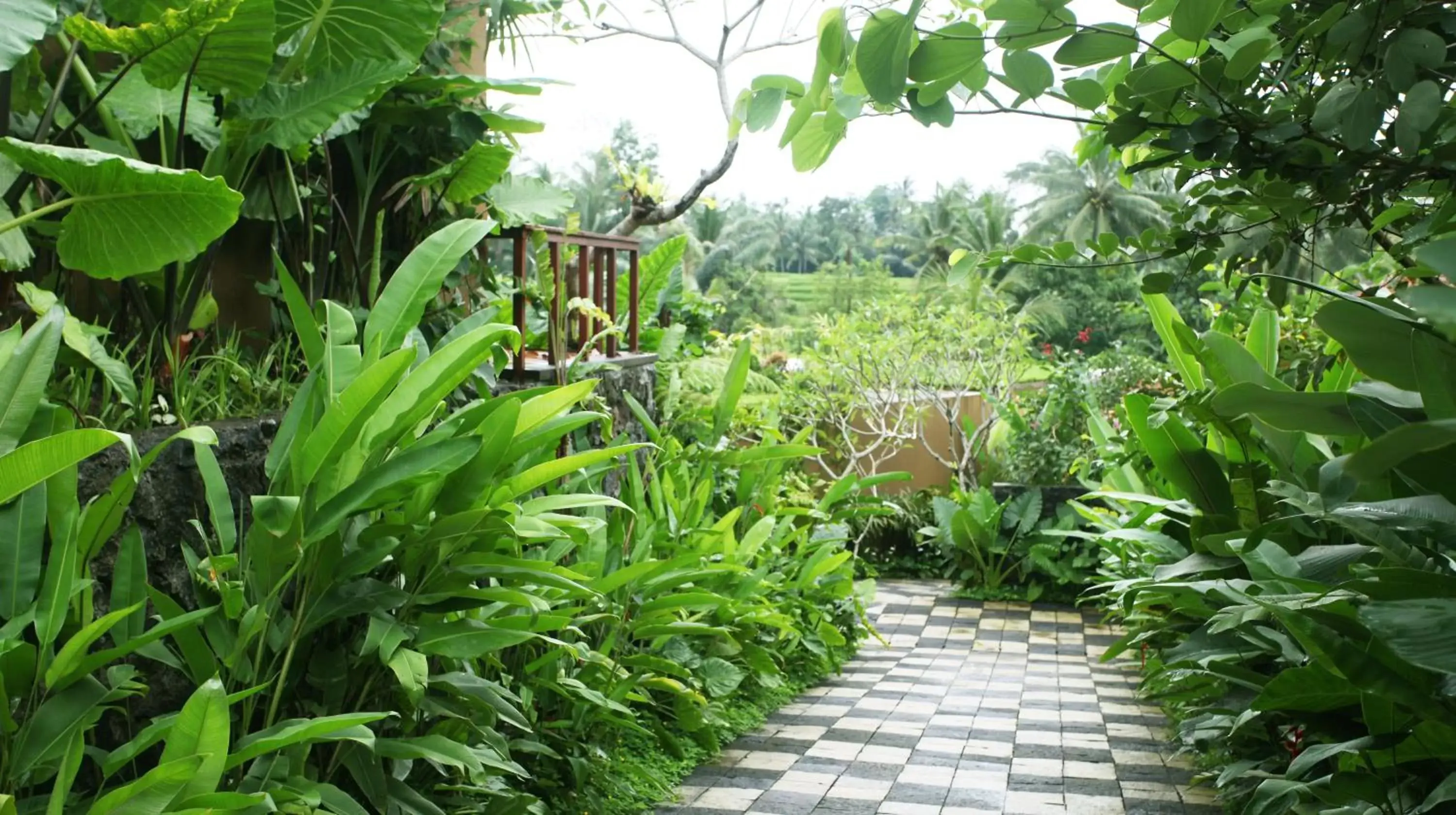 Day, Garden in Ubud Green Resort Villas Powered by Archipelago