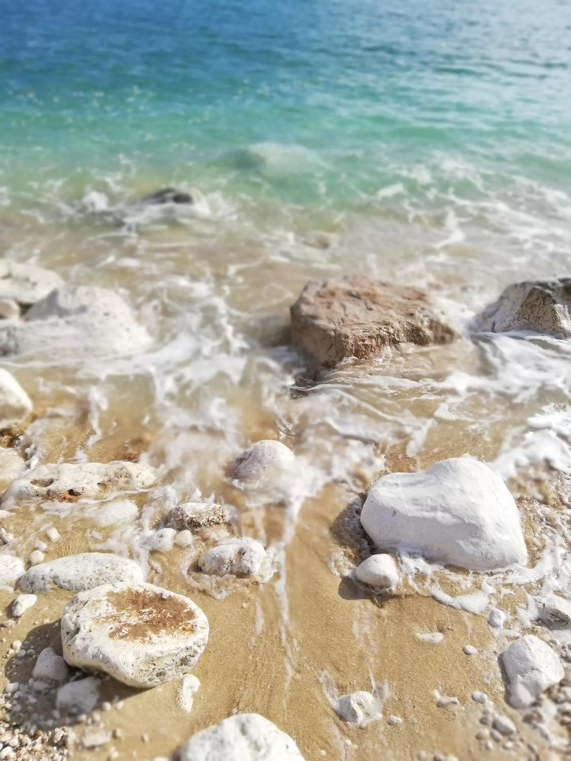 Natural landscape, Beach in Apulia Bed&Breakfast