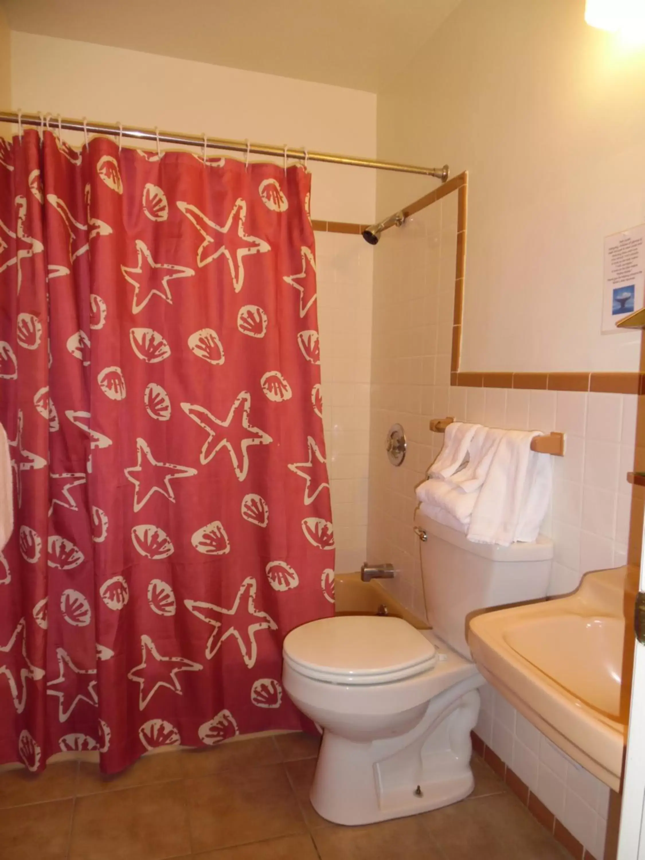 Shower, Bathroom in Wachapreague Inn - Motel Rooms